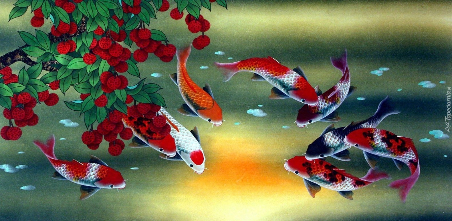 Ryby, Koi, Rośliny