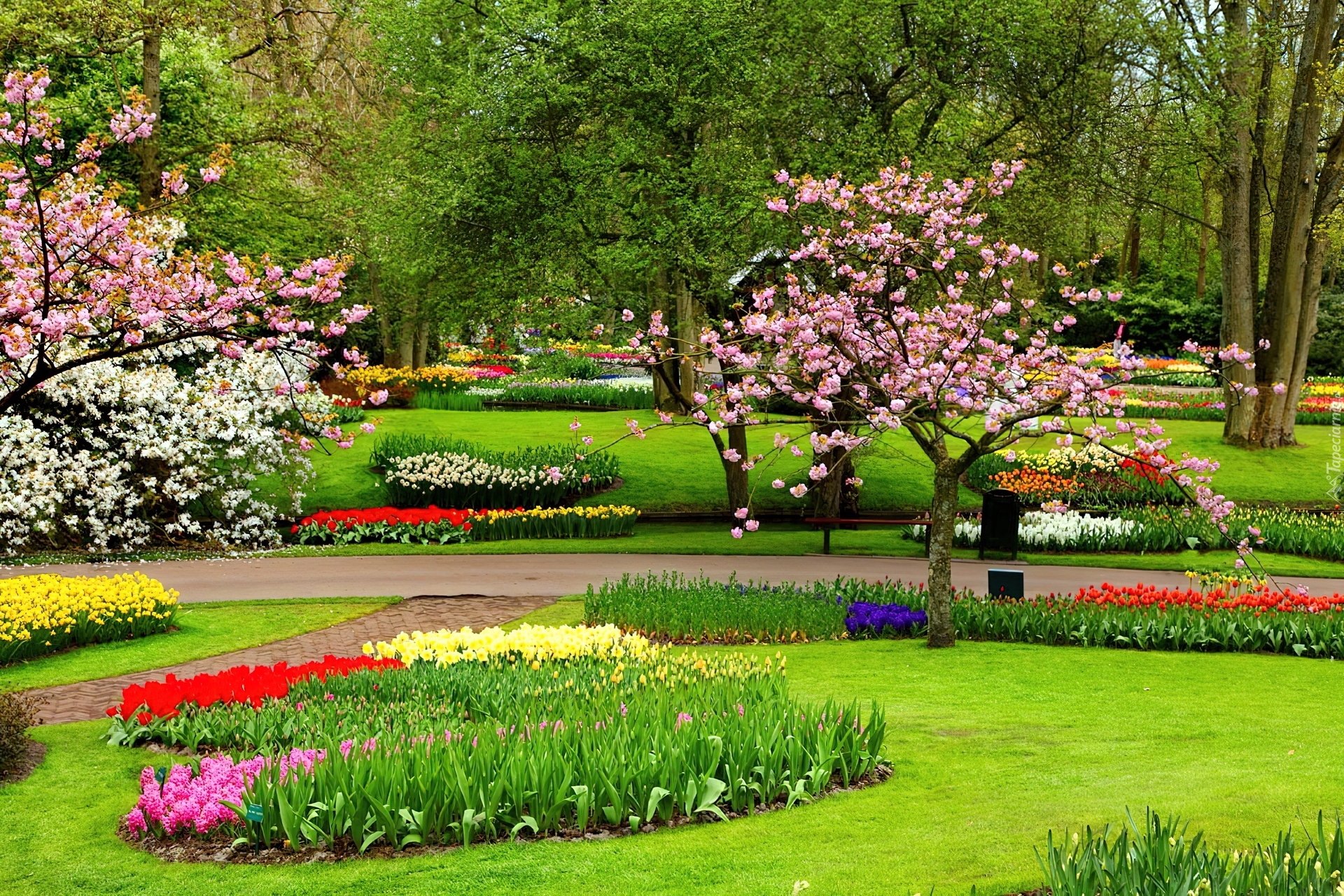 Park, Kwiaty, Klomby, Drzewa