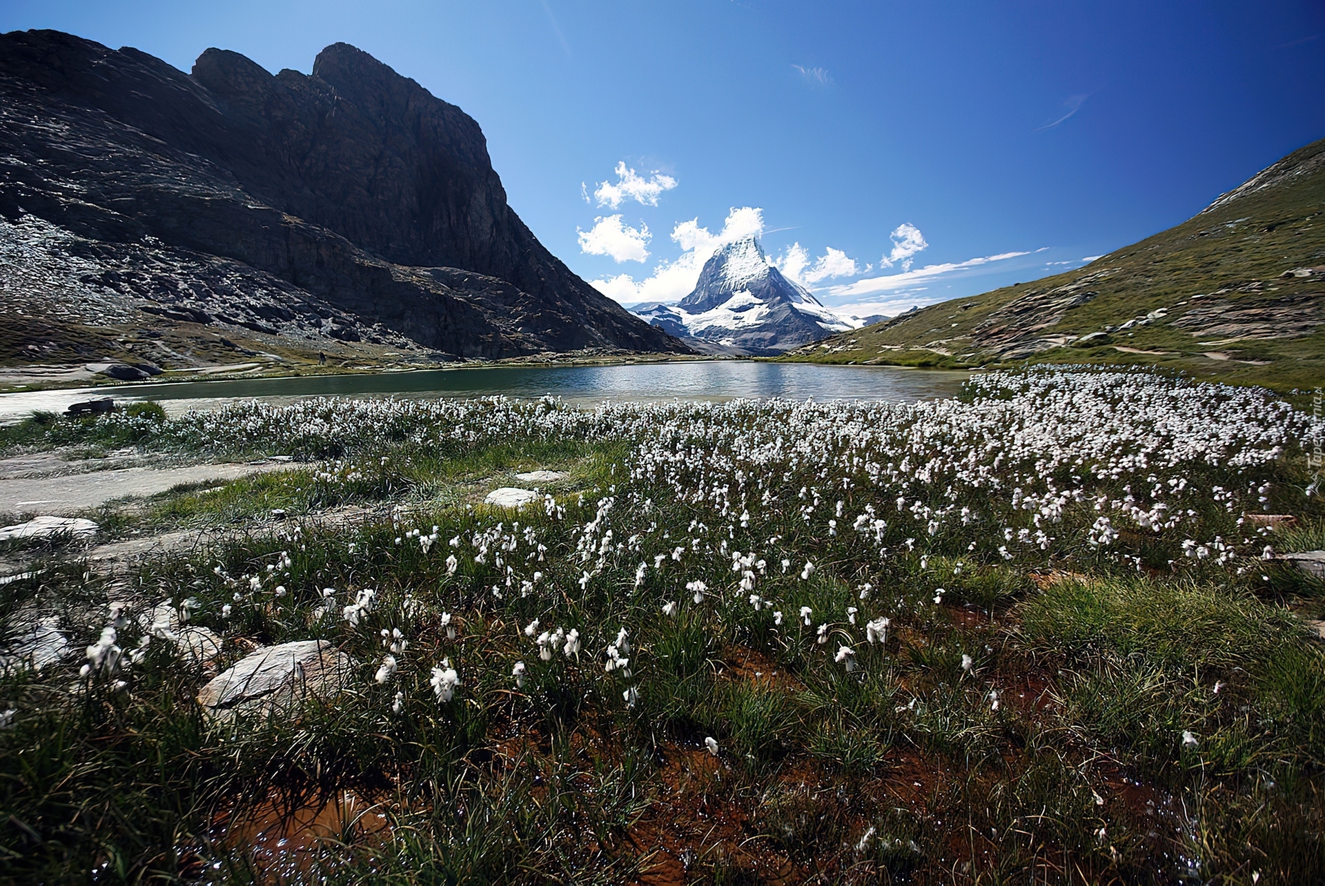 Łąka, Jeziorko, Góry, Matterhorn, Szwajcaria