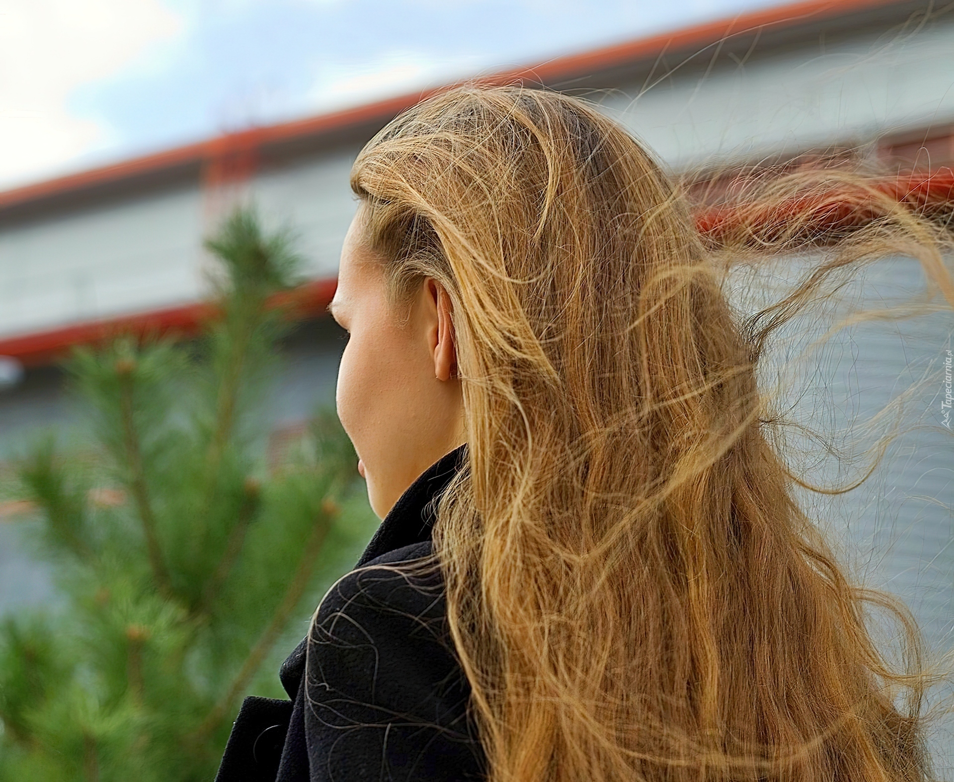 Dziewczyna, Modelka, Blondynka, Profil