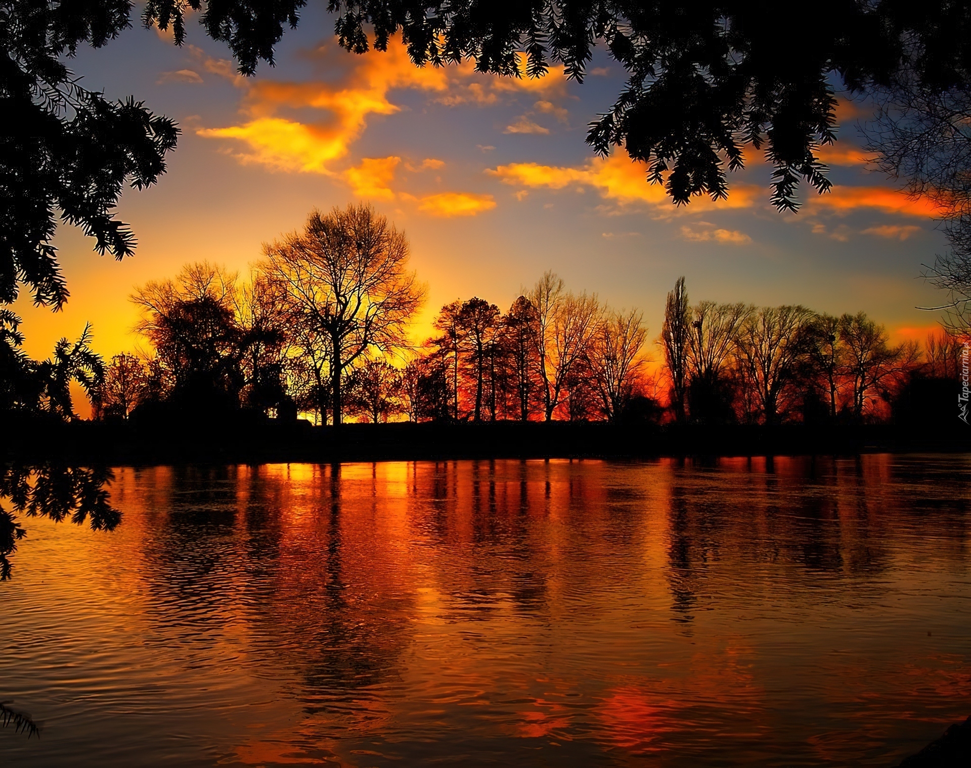 Jezioro, Drzewa, Zachód Słońca