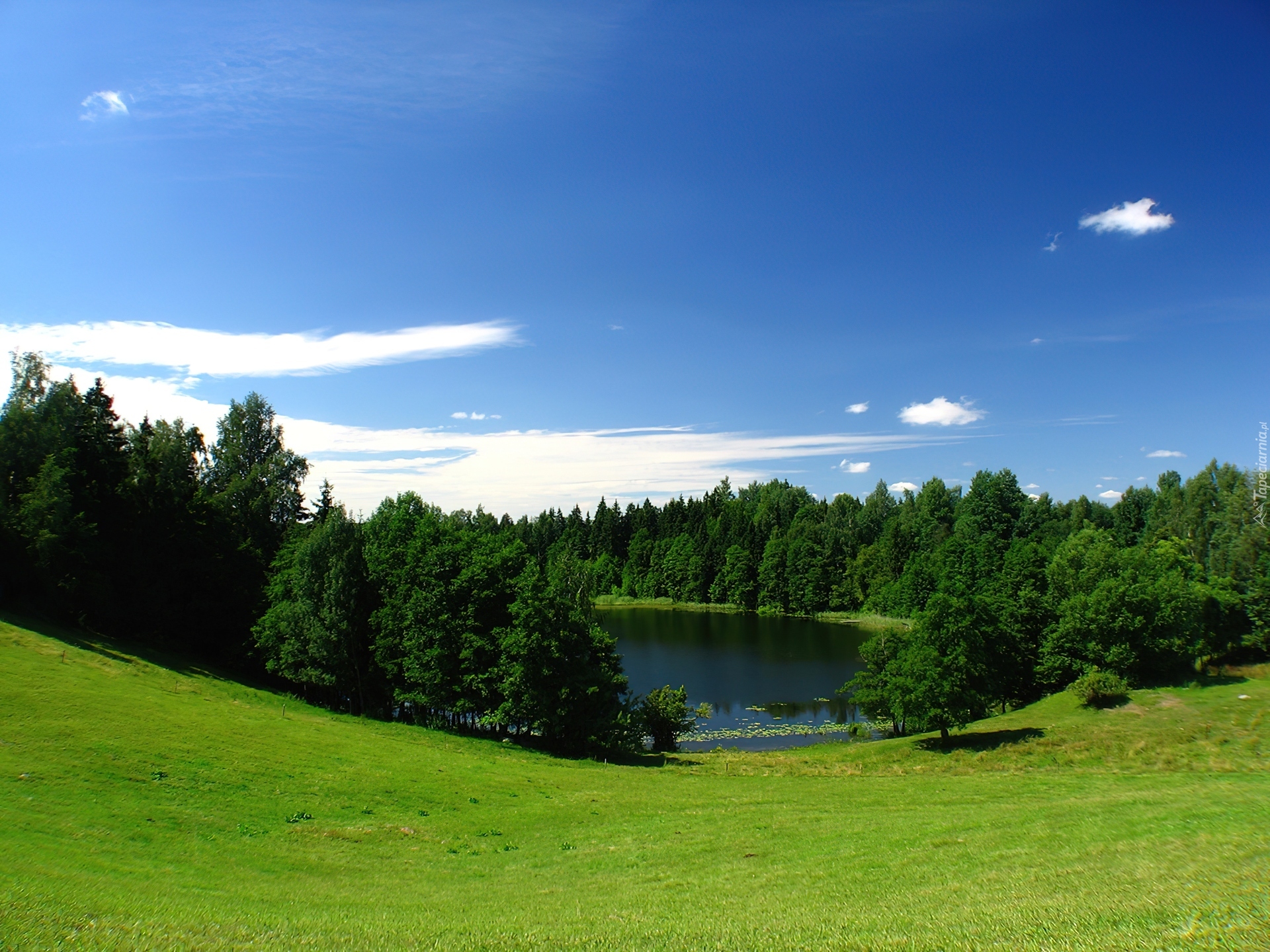 Jezioro, Lasy, Łąka, Chmury