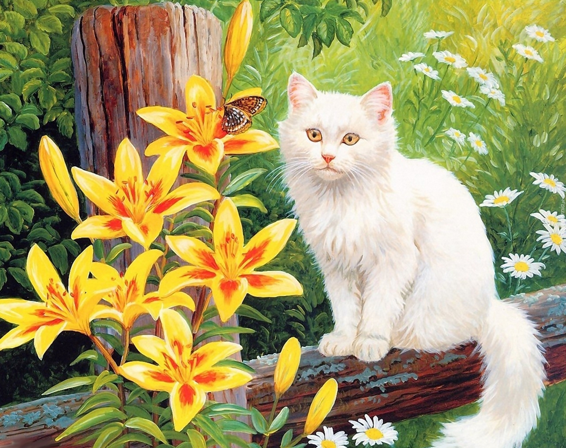 Biały, Kot, Żółte, Lilie