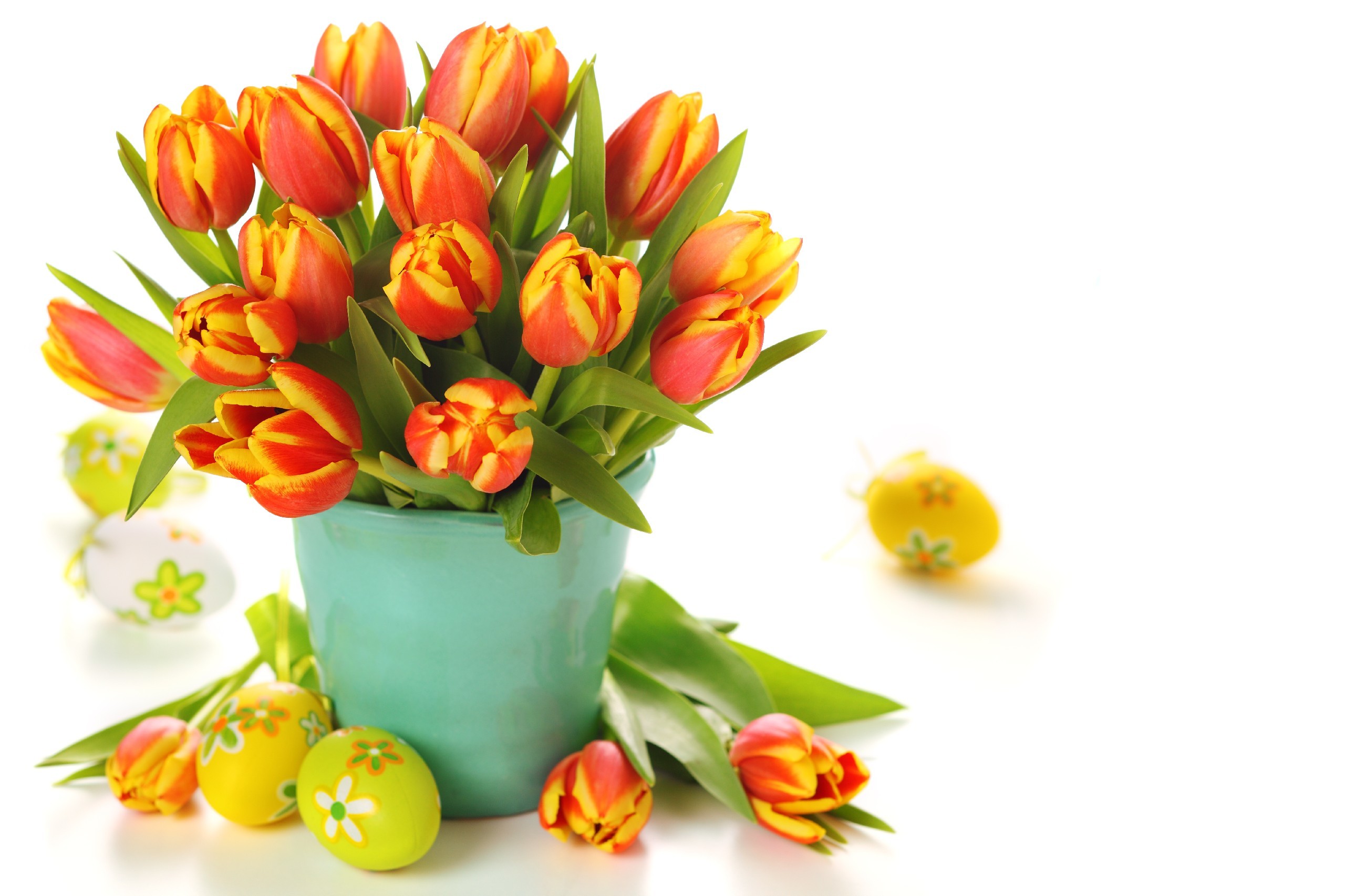 Wielkanoc, Jajka, Tulipany