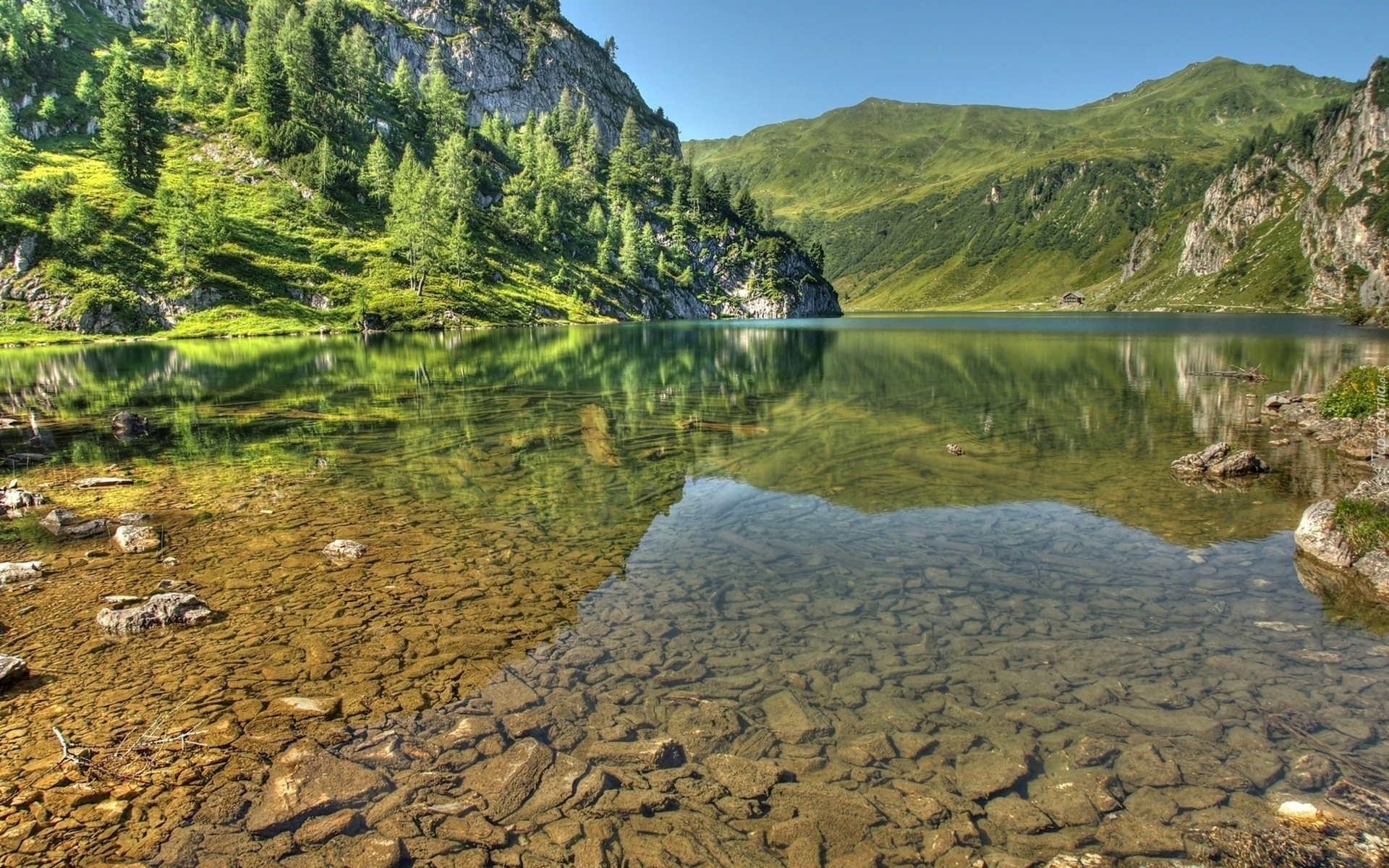 Góry, Rzeka, Las