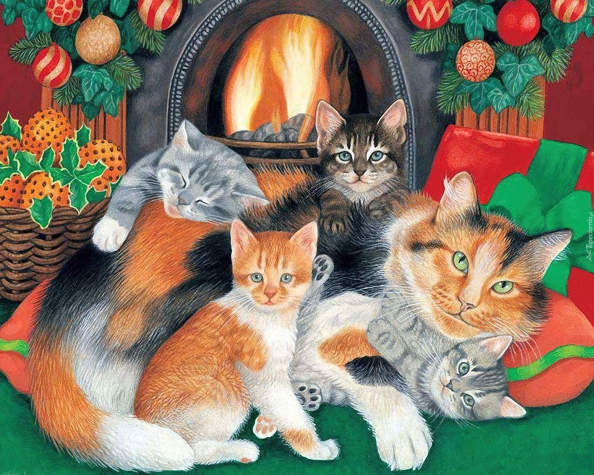 Koty, Kominek, Boże, Narodzenie
