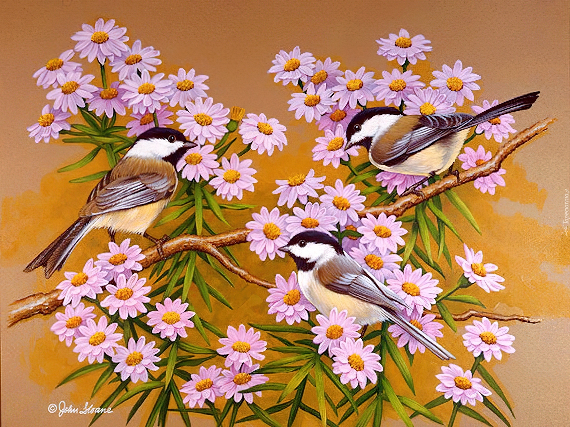Картины птички с цветами. Джон френч Слоан художник птички. Джон Слоан цветы. Живопись цветов и птиц. Живопись цветы и птицы.