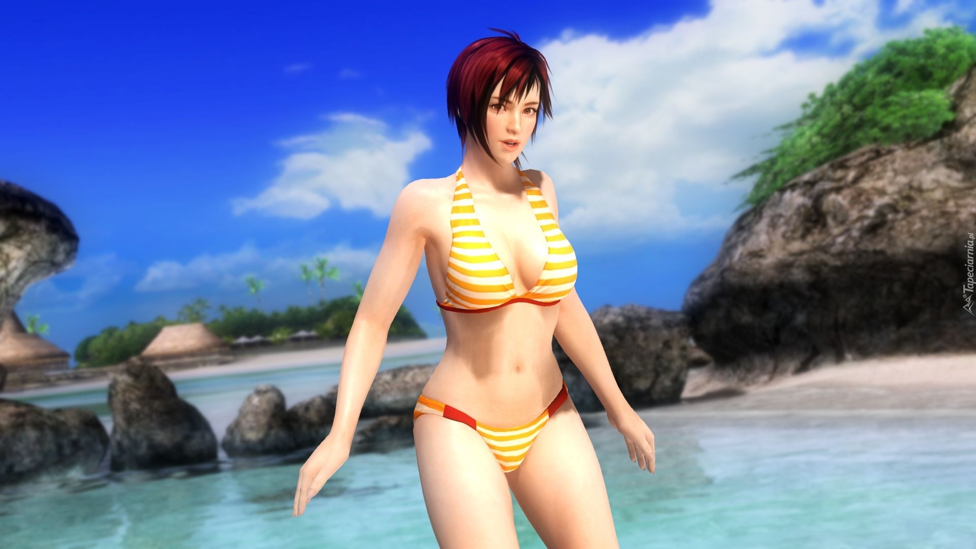 Dead Or Alive 5, Mila