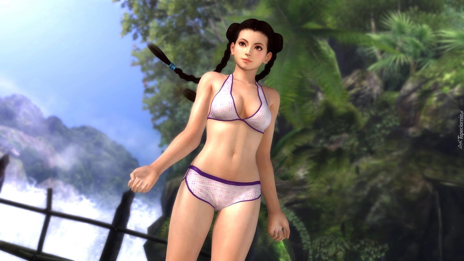 Dead Or Alive 5, Pai