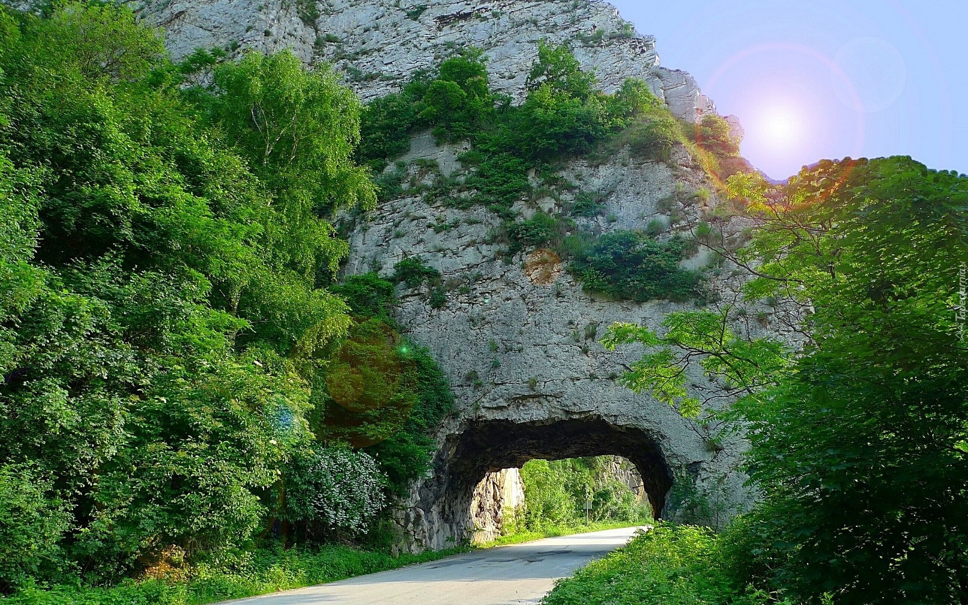 Skała, Drzewa, Droga, Tunel