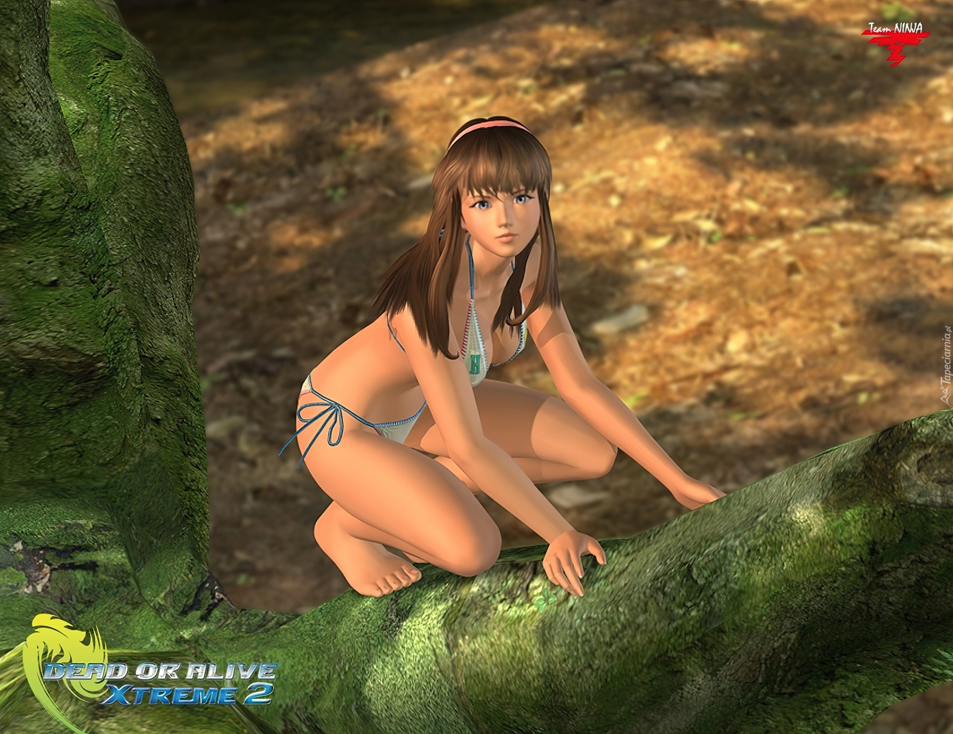 Dead Or Alive Xtreme 2, Hitomi