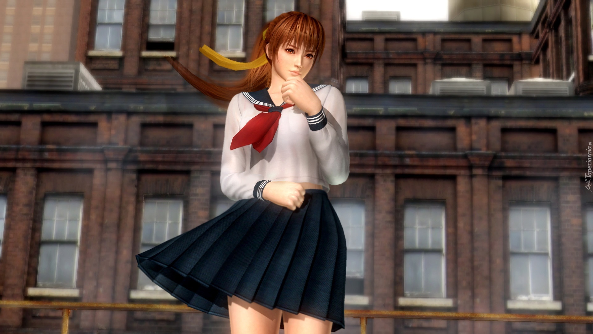 Dead Or Alive 5, Kasumi