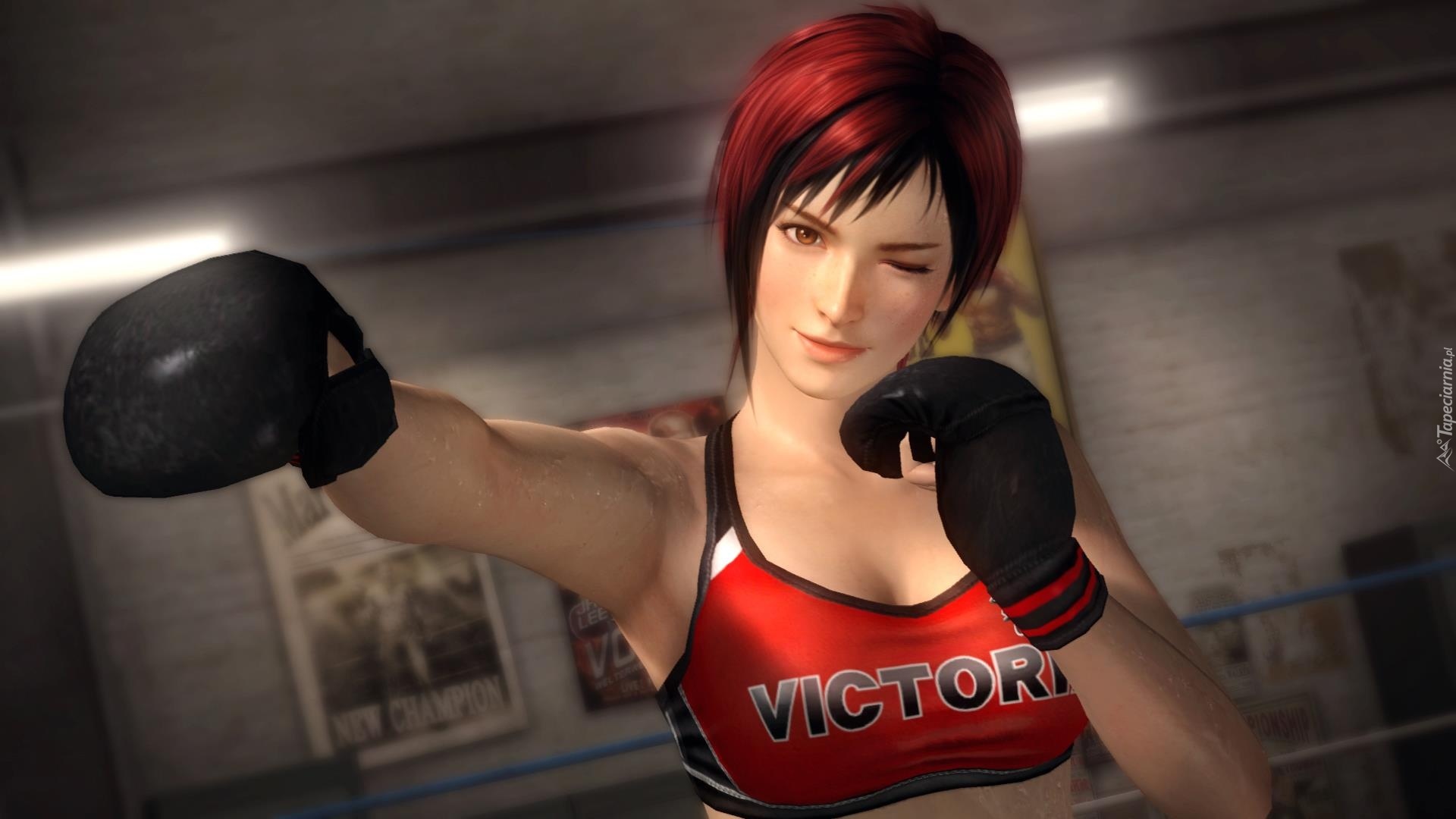 Dead Or Alive 5, Mila