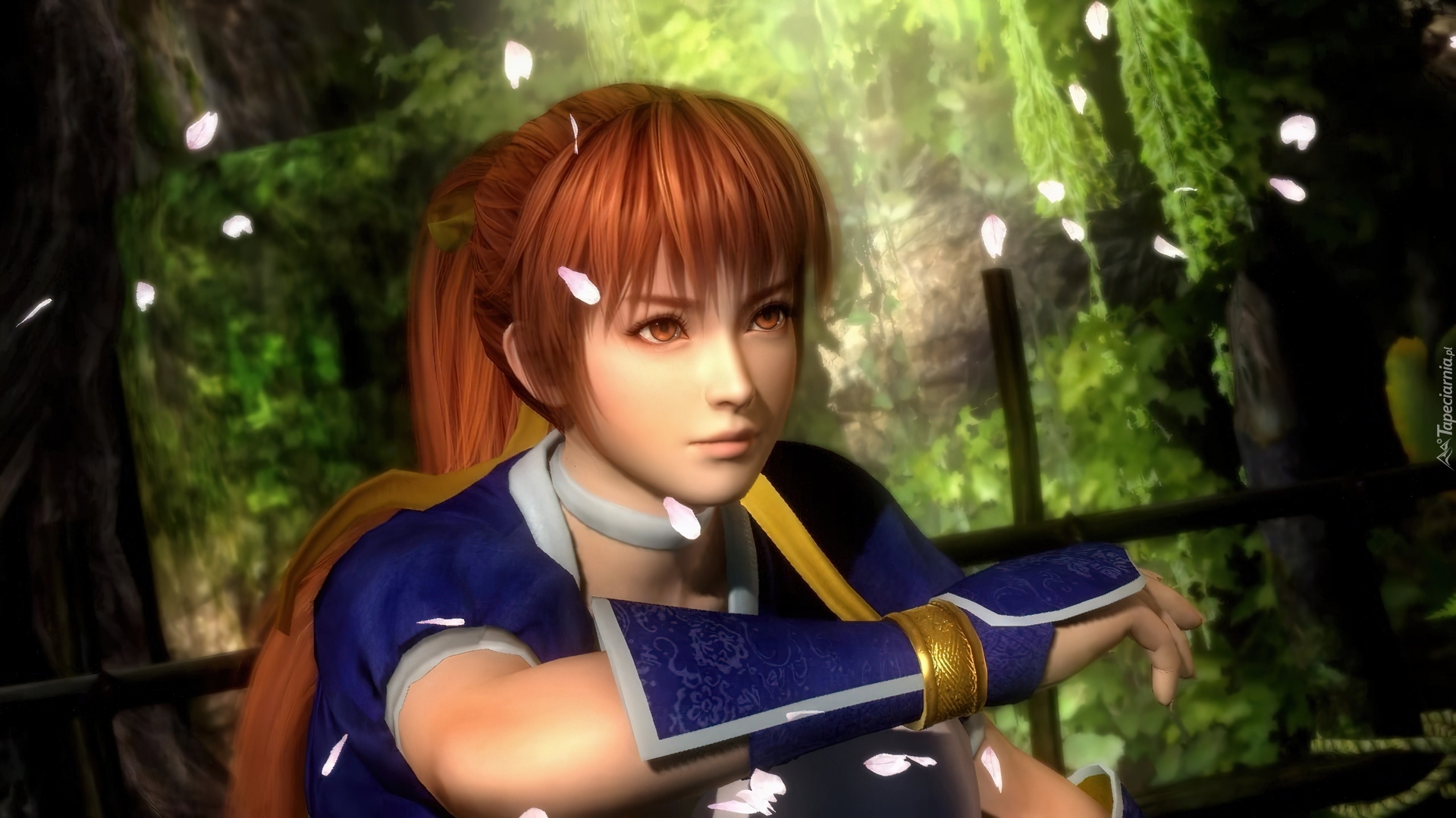 Dead Or Alive 5, Kasumi