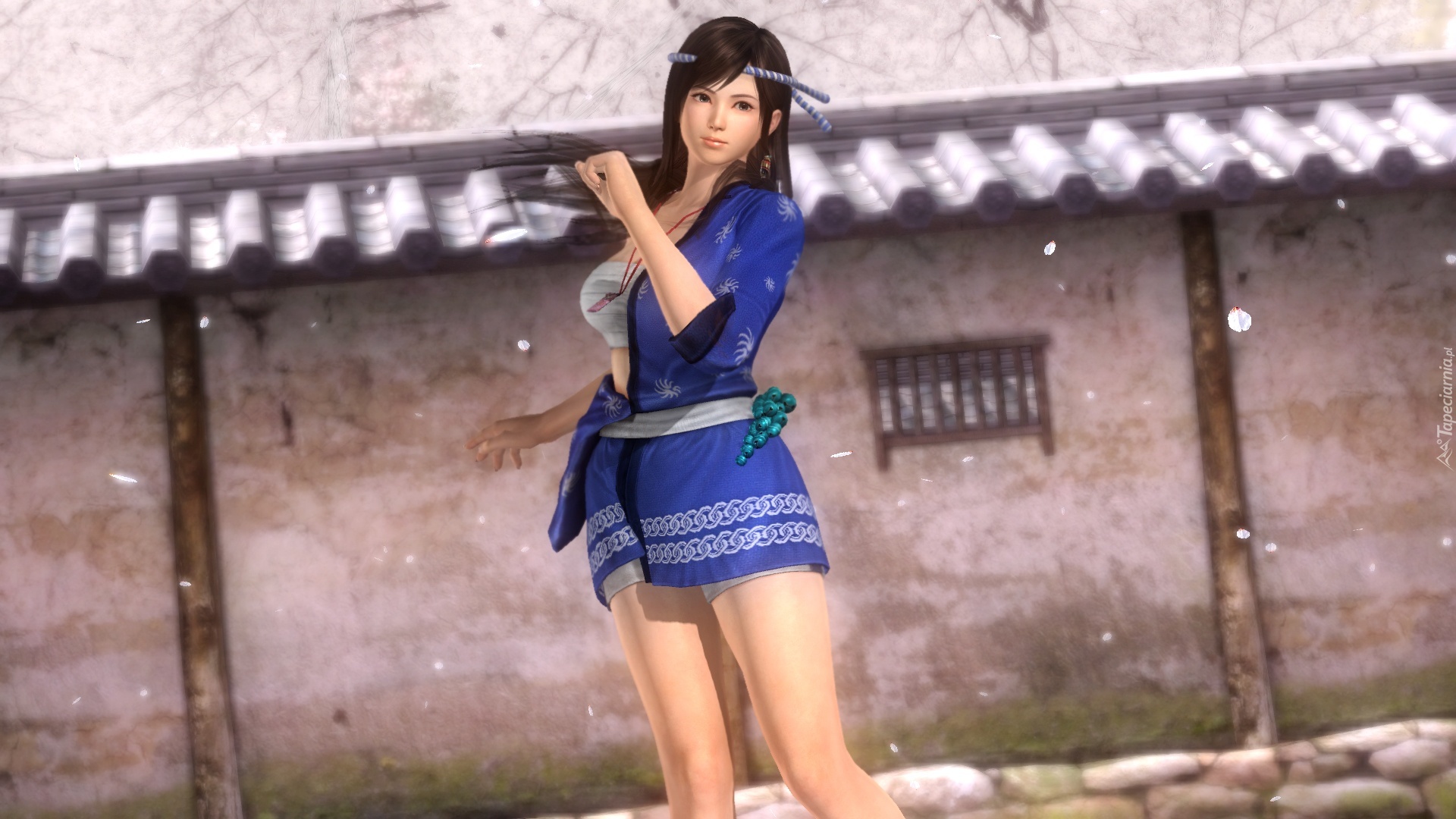 Dead Or Alive 5, Kokoro