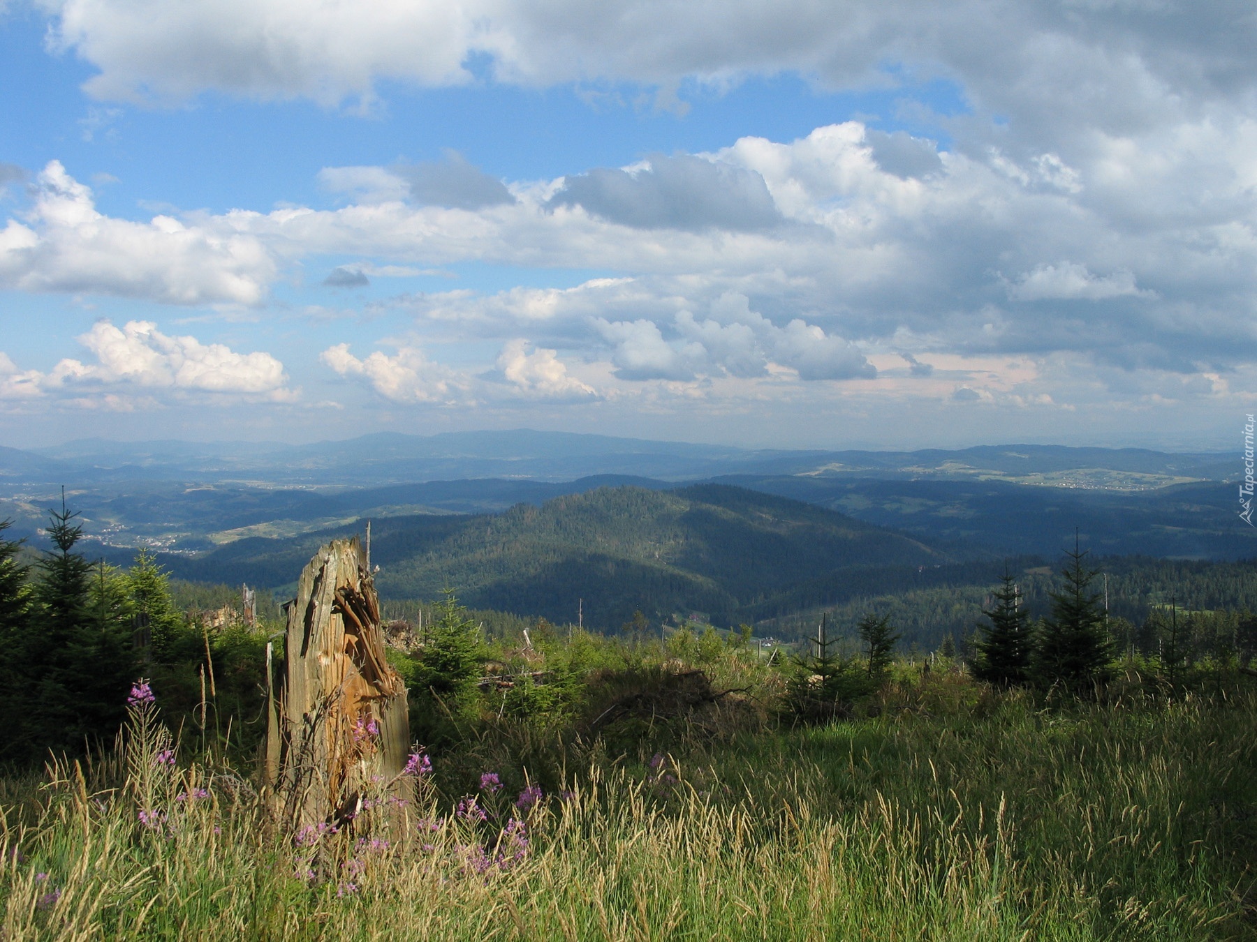 Łąka, Lasy, Góry, Niebo