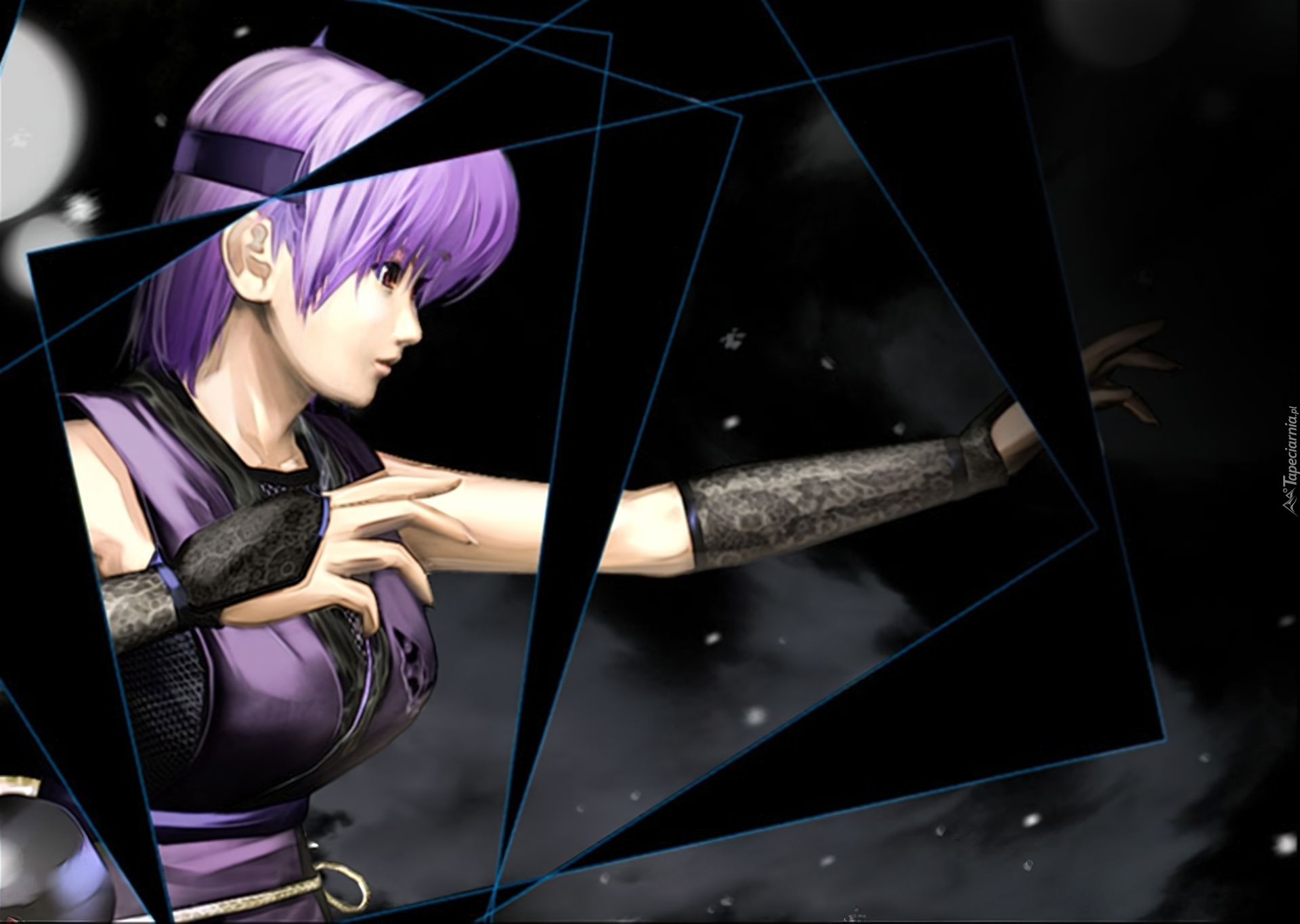 Dead Or Alive Dimension, Ayane