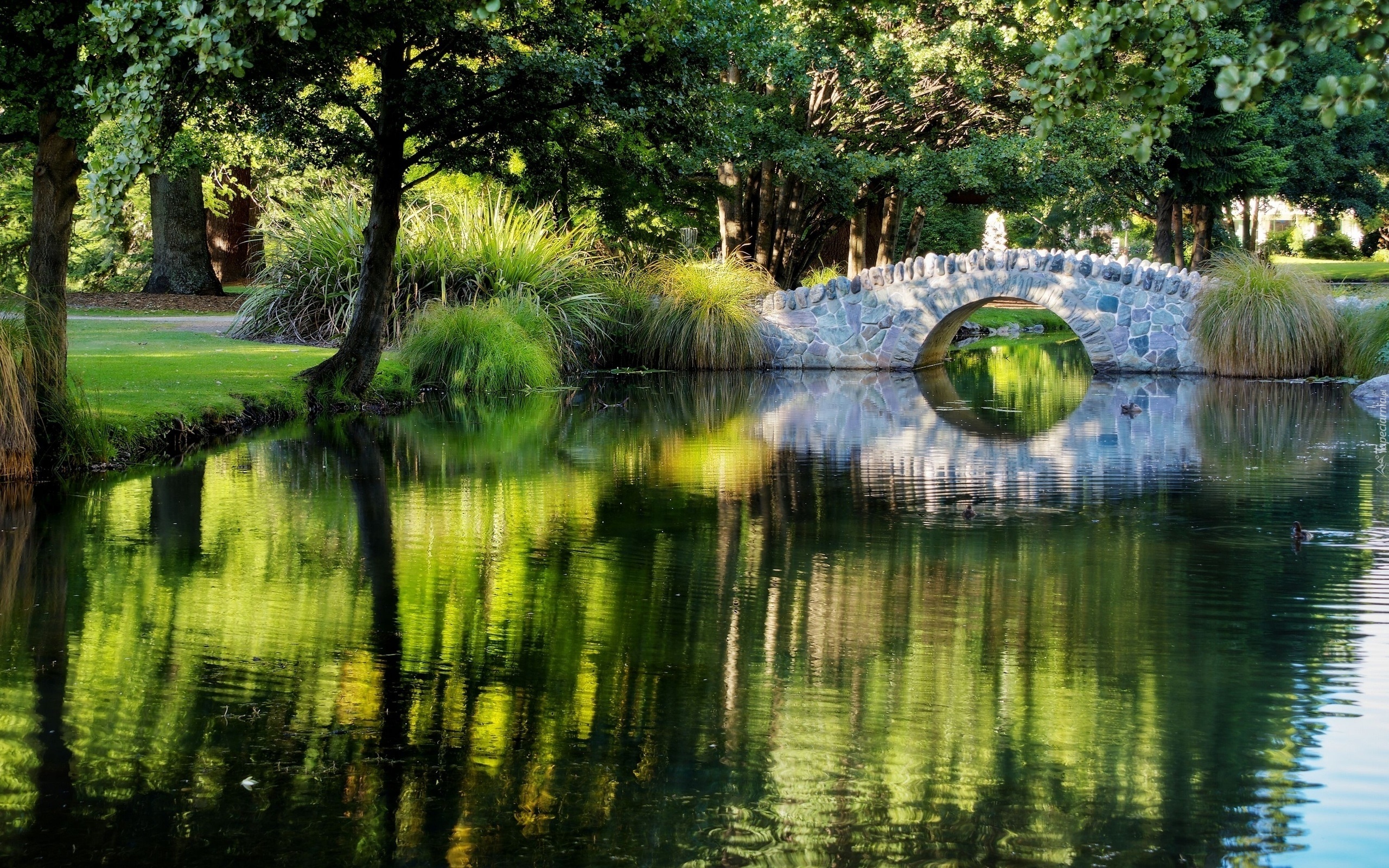 Park, Rzeka, Kamienny, Mostek