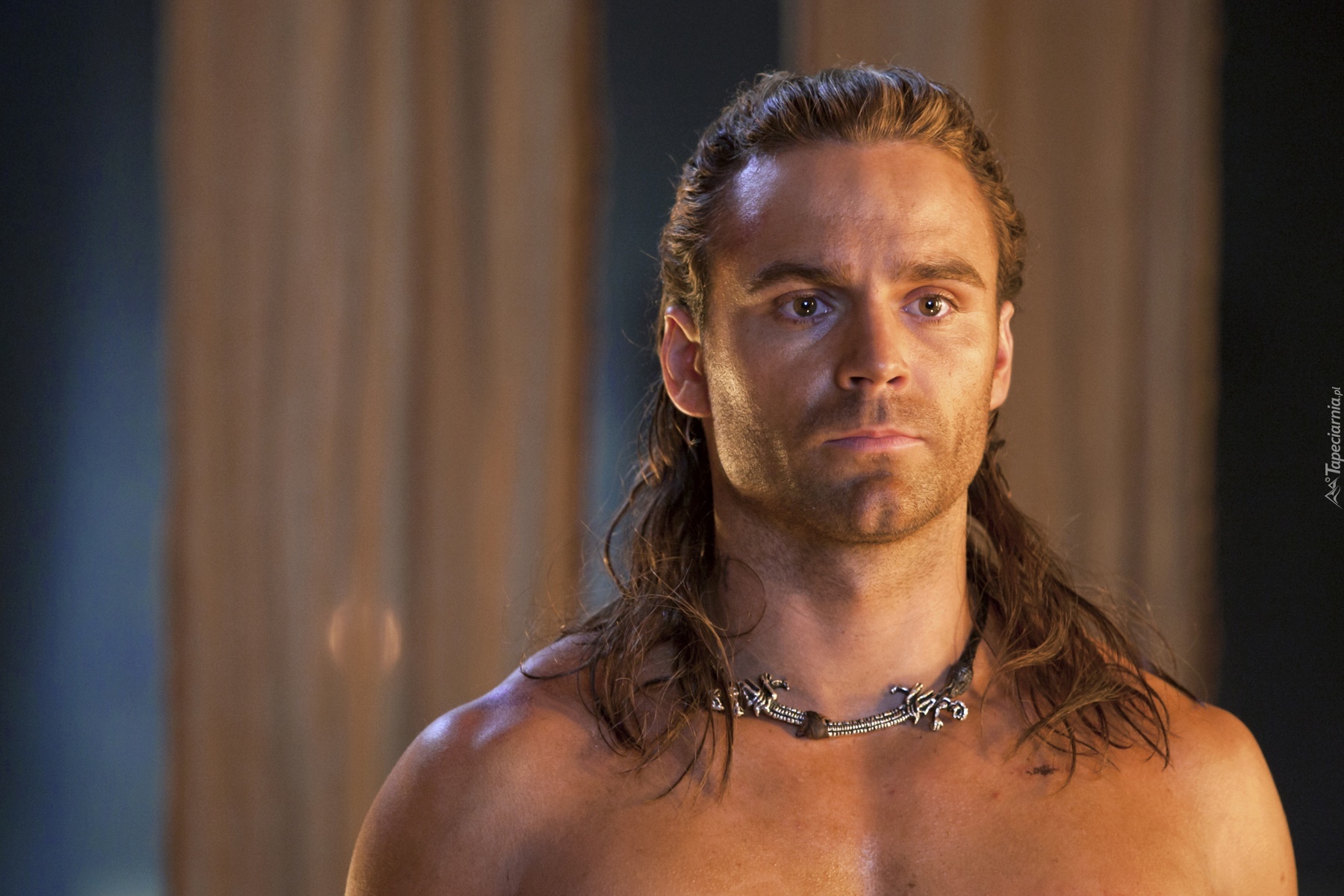 Spartacus: Bogowie Areny, Gannicus - Dustin Clare