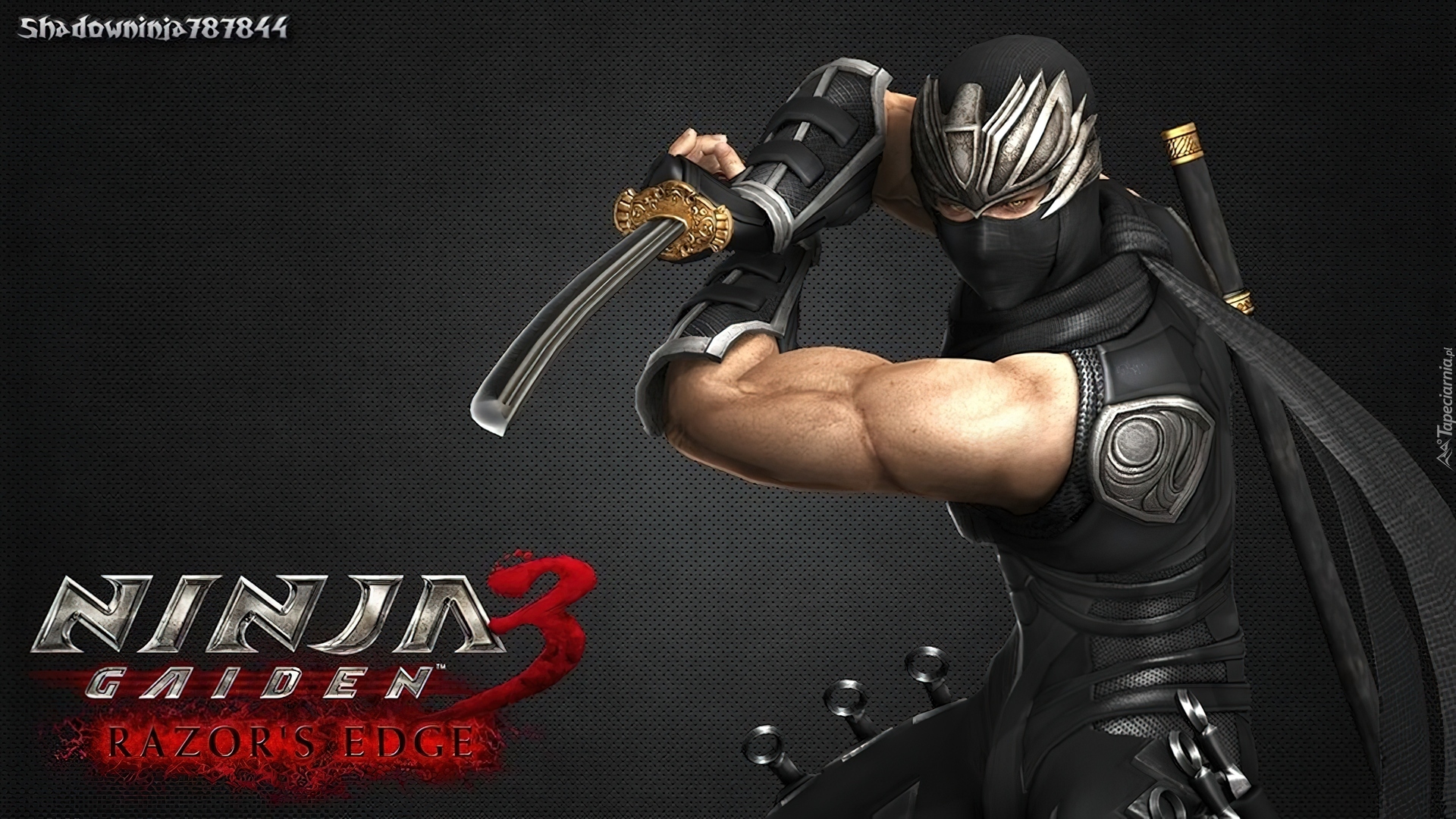 Ninja Gaiden3: Razor Edge, Ryu Hayabusa