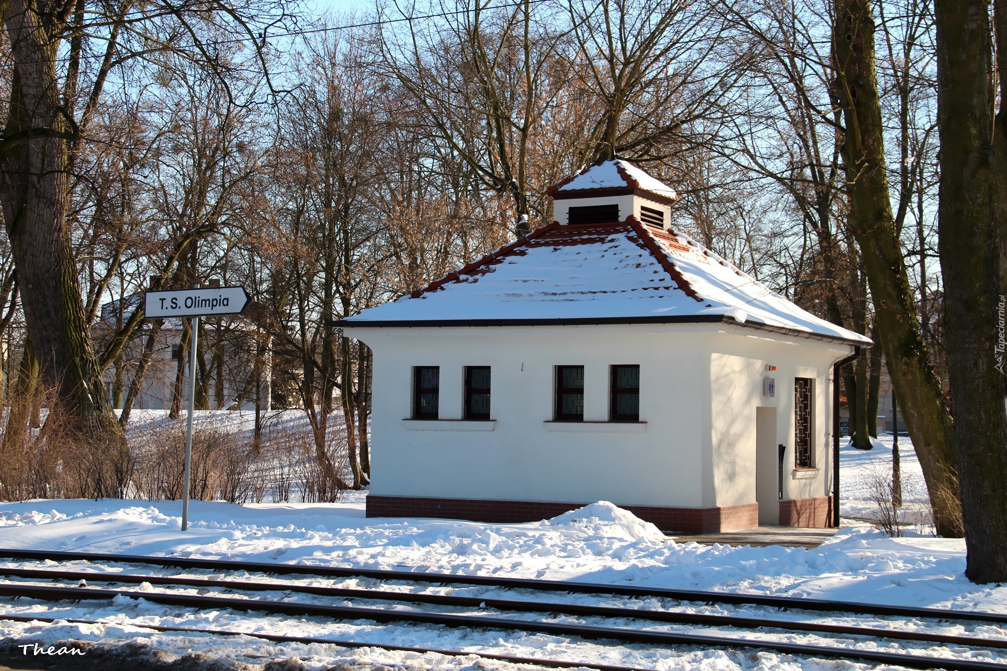 Mały, Biały, Domek, Park, Poznań