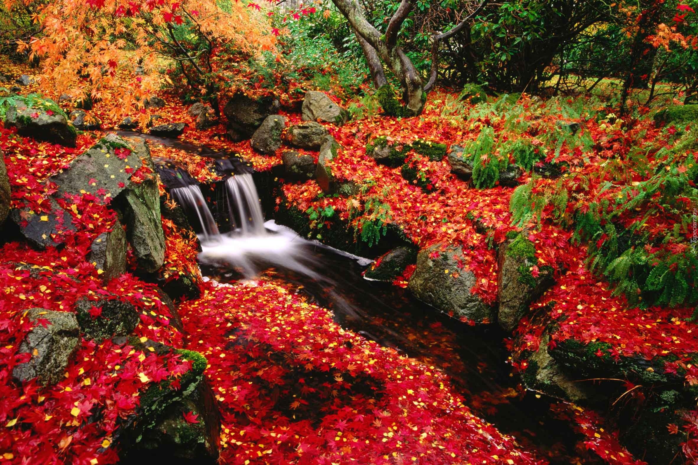 Jesień, Wodospad, Kamienie, Liście, Drzewa