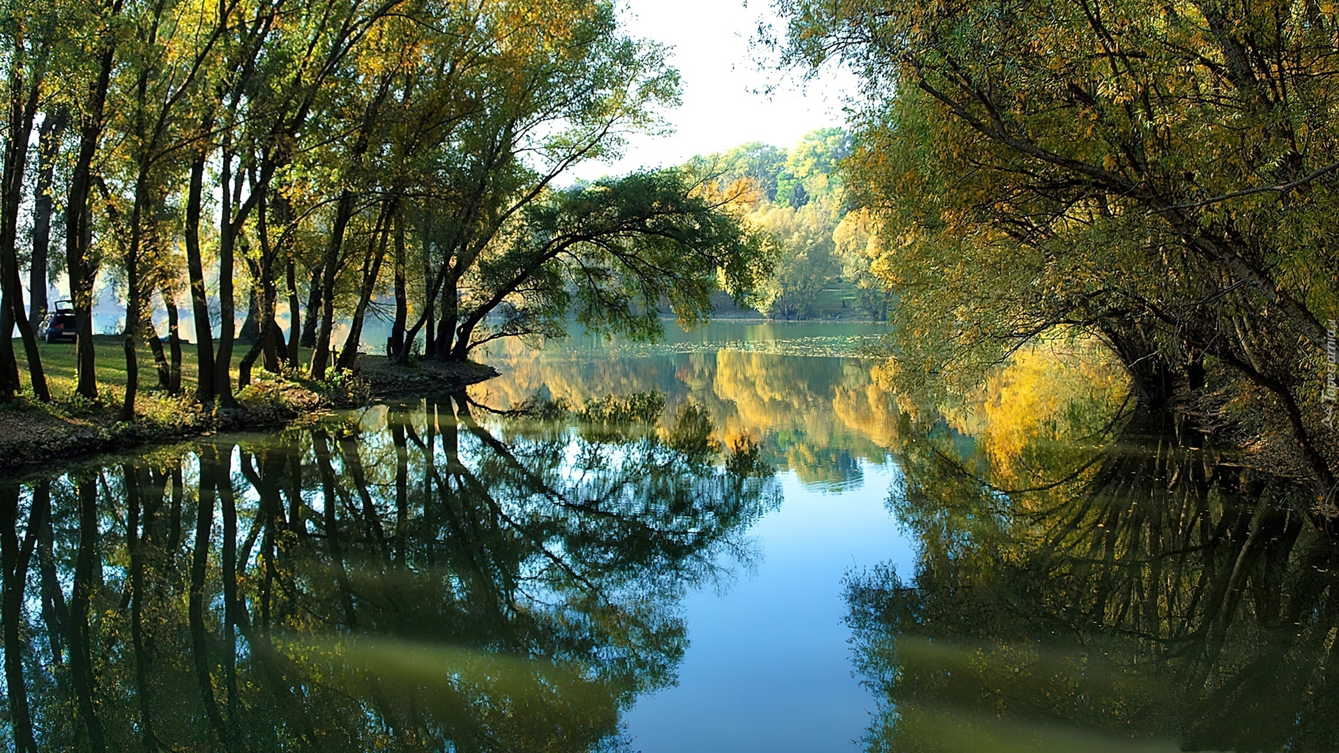 Jezioro, Drzewa, Lato