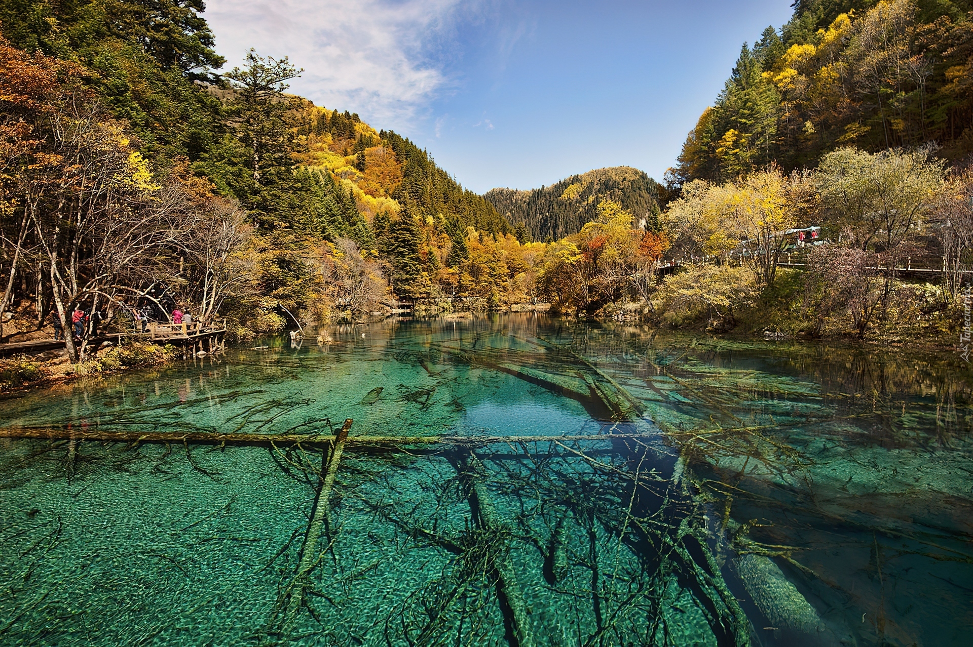 Chiny, Park Narodowy Jiuzhaigou, Jezioro, Lasy