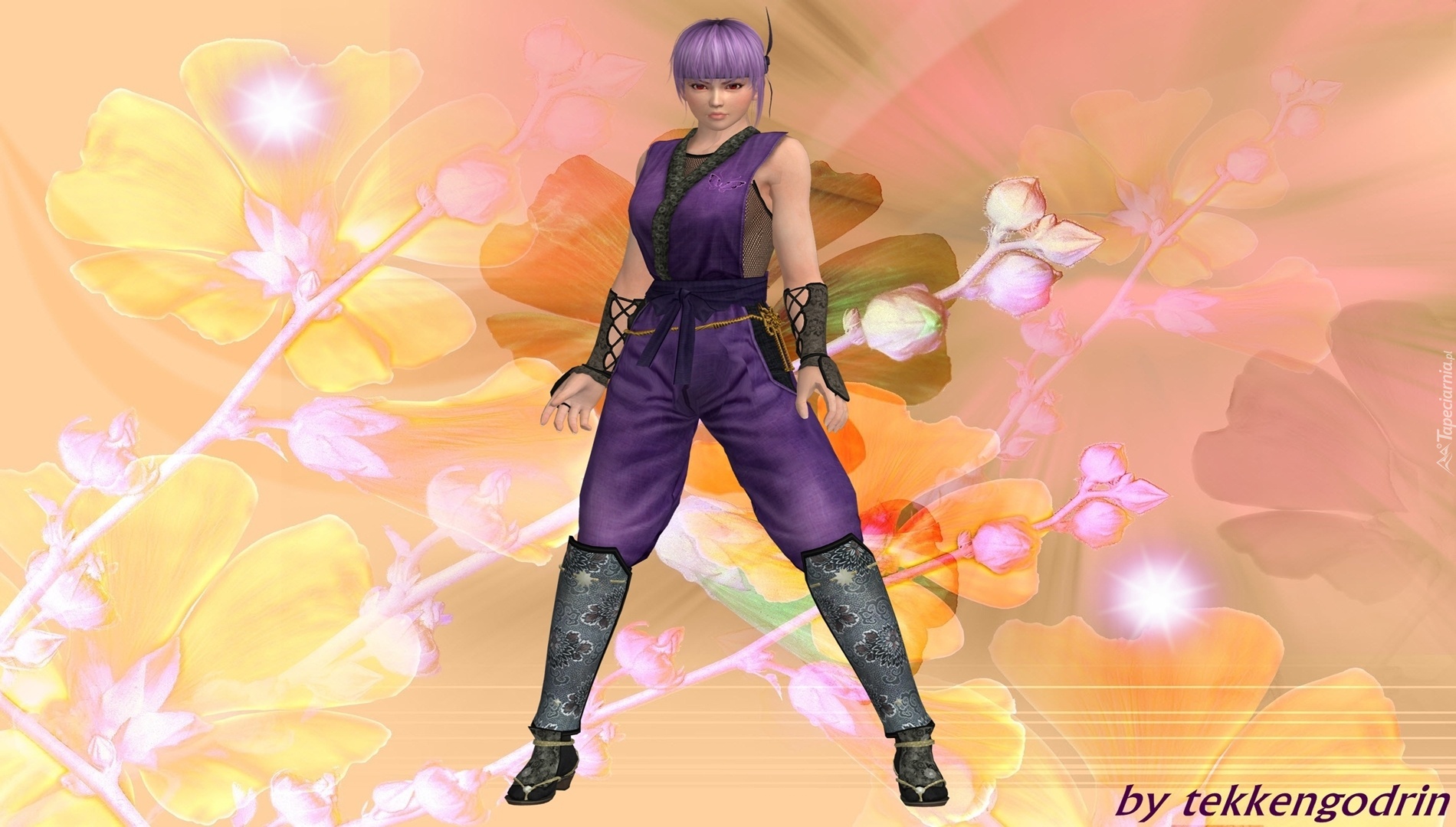 Dead Or Alive 5, Ayane, Grafika