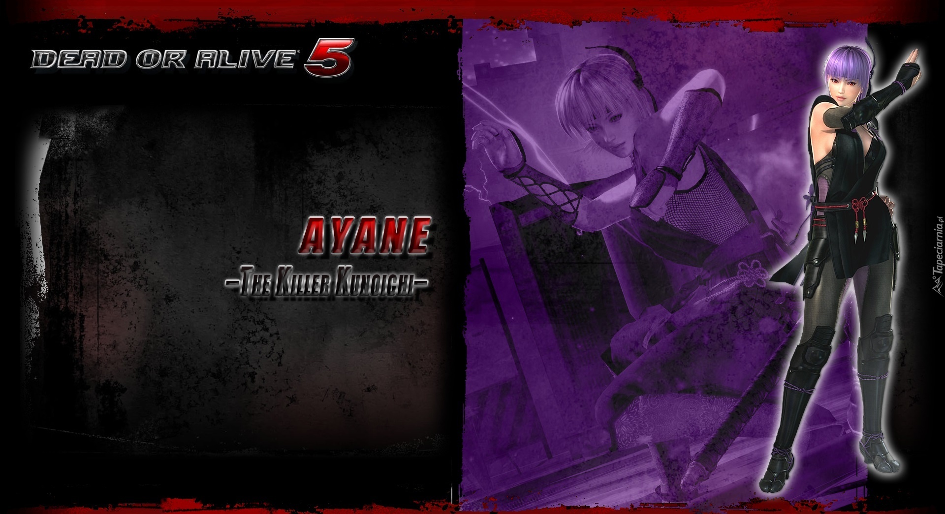 Dead Or Alive 5, Ayane