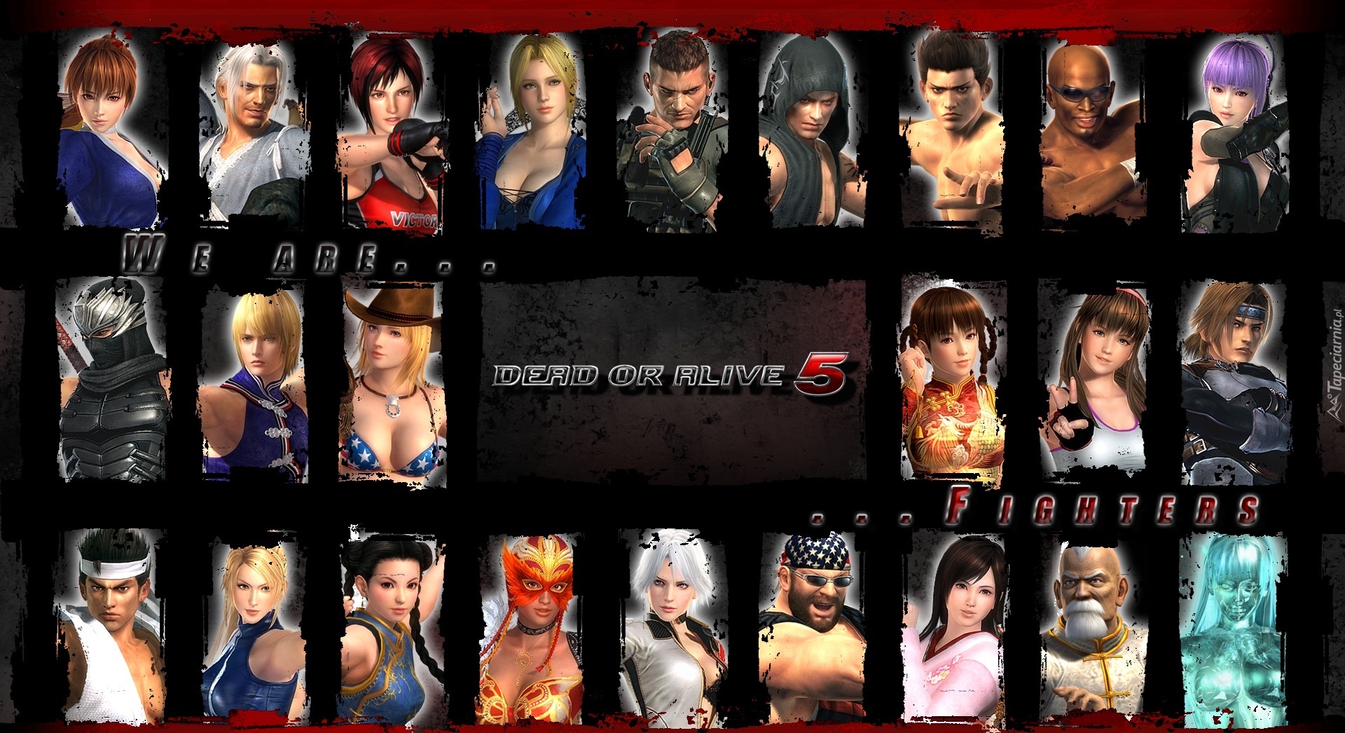 Dead Or Alive 5, Postacie