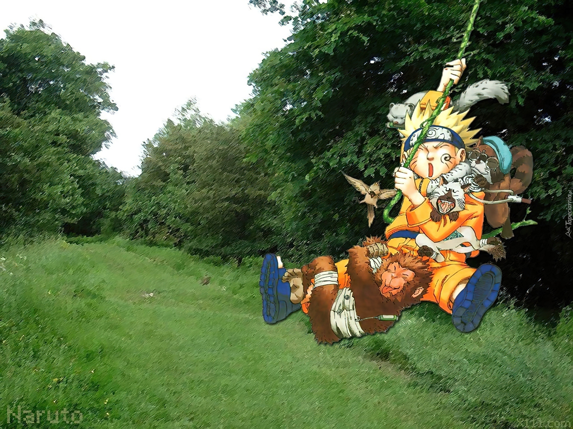 Naruto, las, zwierzęta