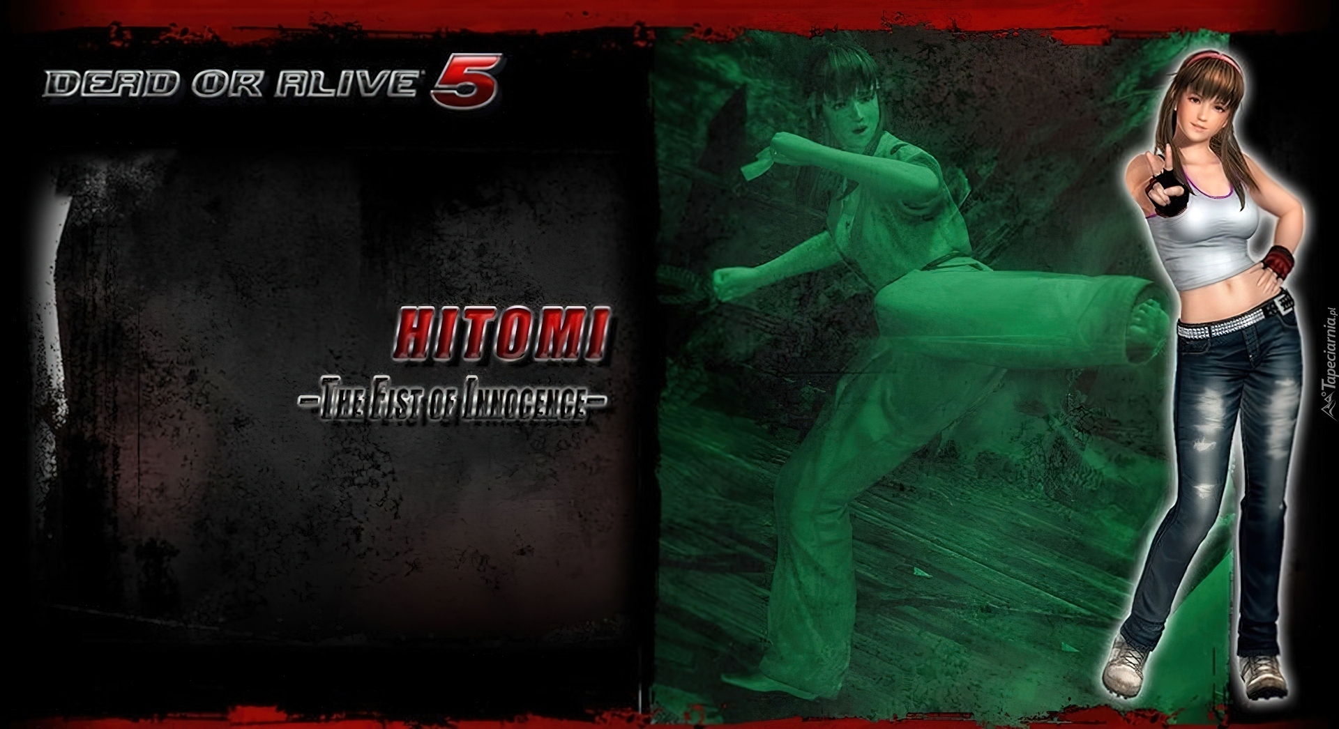 Dead Or Alive 5, Hitomi