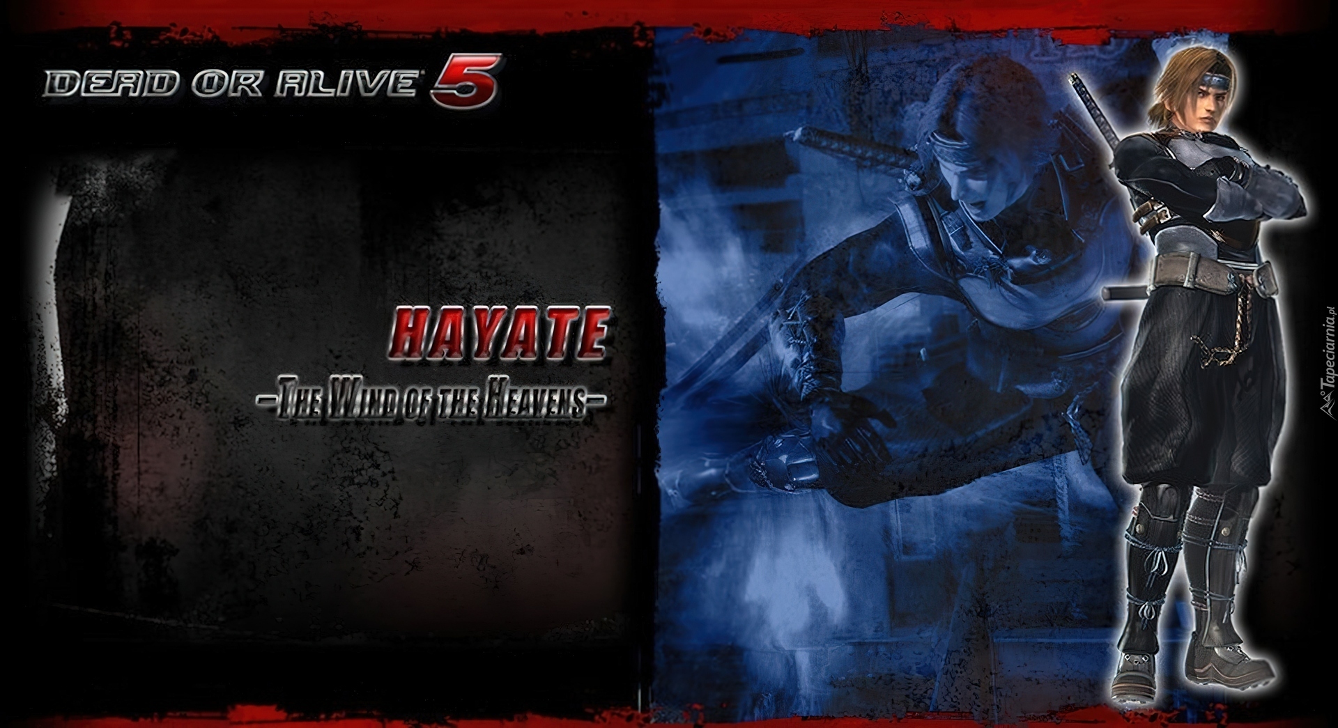 Dead Or Alive 5, Hayate