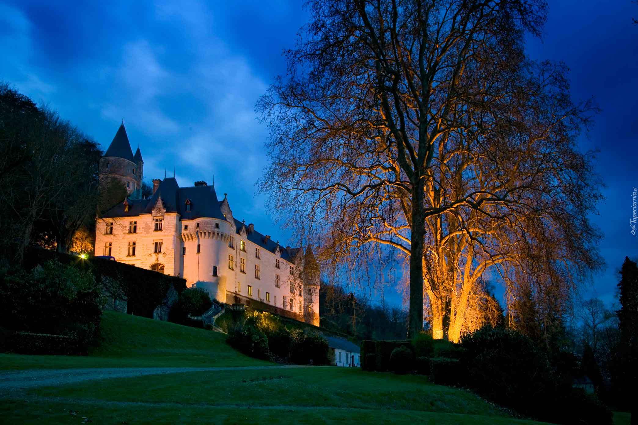 Oświetlony, Zamek, Amboise, Francja, Noc