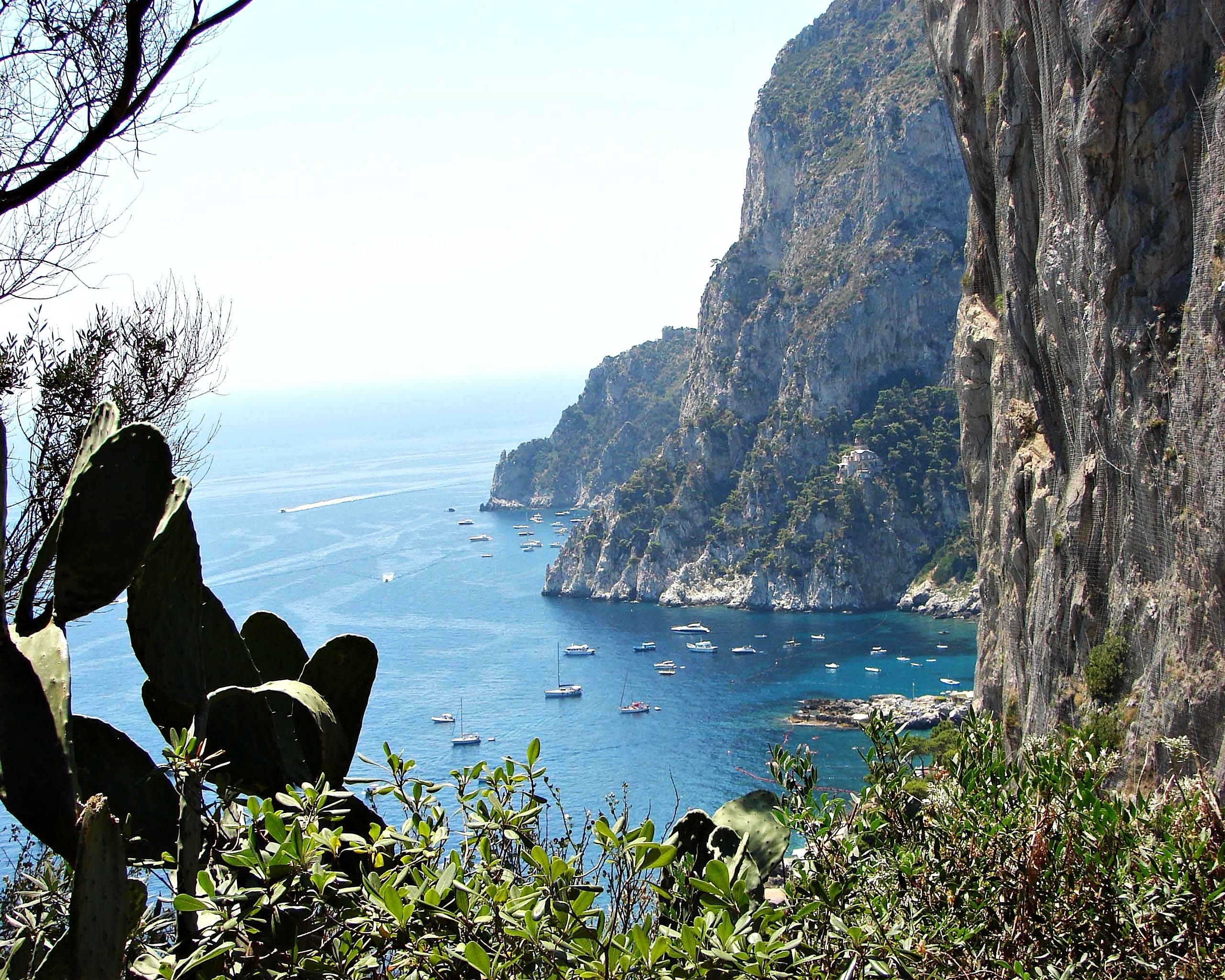 Wyspa, Capri, Morze, Kaktusy