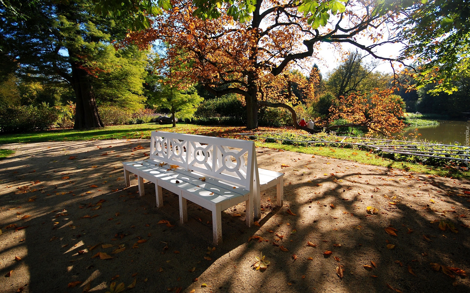 Park Mużakowski, Jesień, Ławka