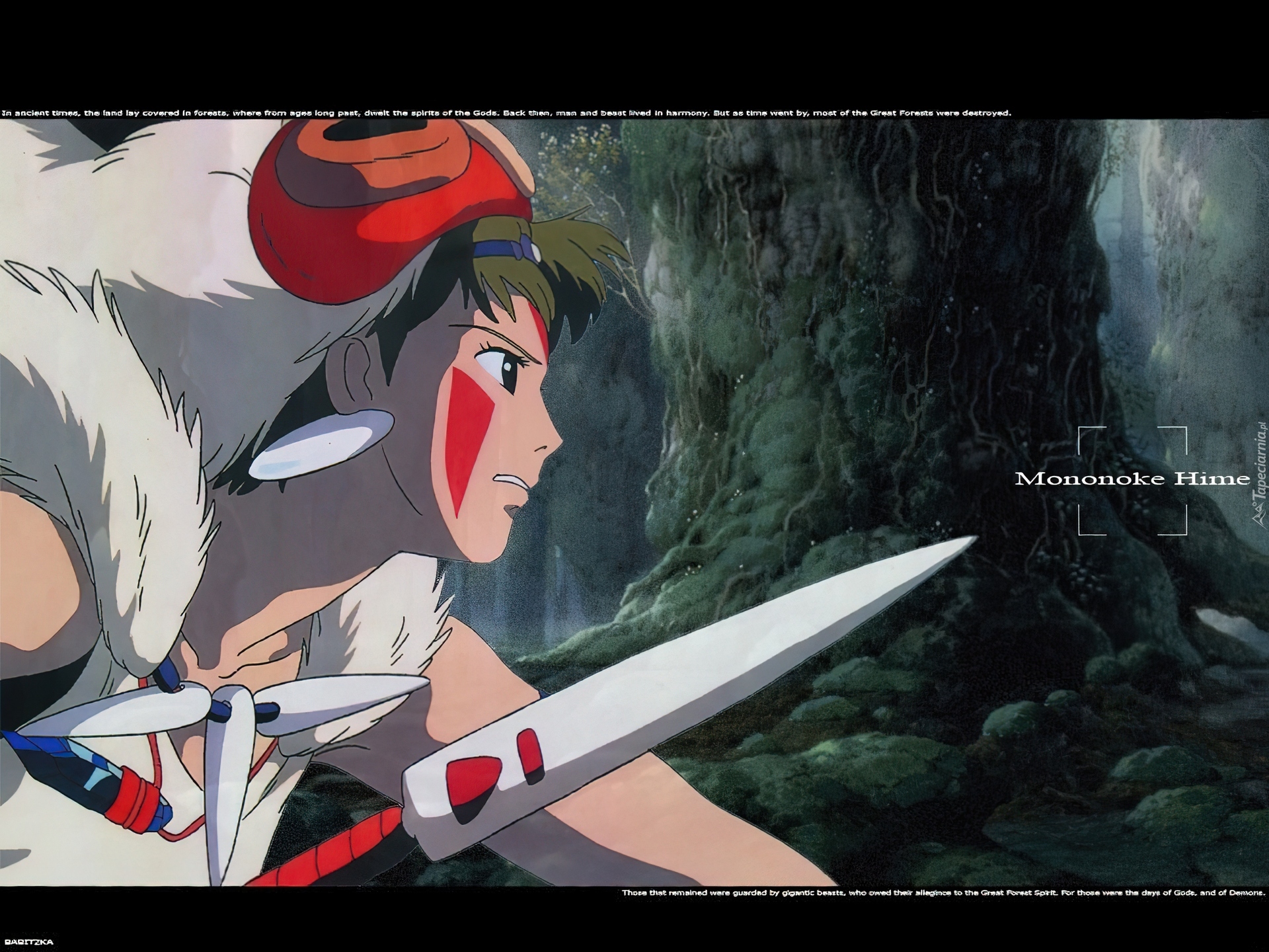 Mononoke Hime, miecz