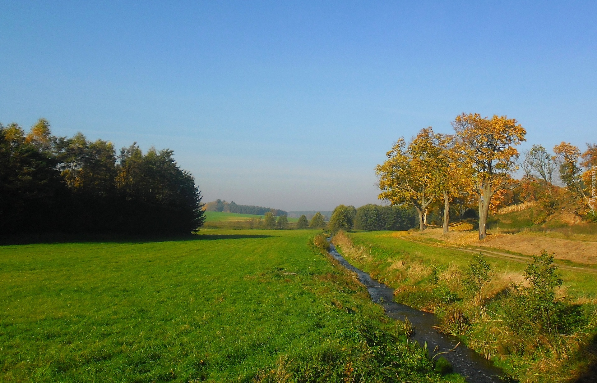 Jesień, Strumyk, Drzewa