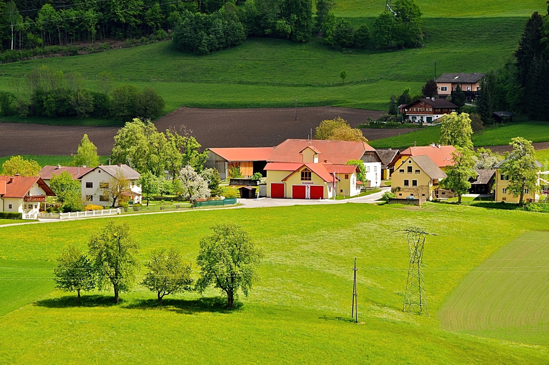 Domy, Łąka, Pola, Austria