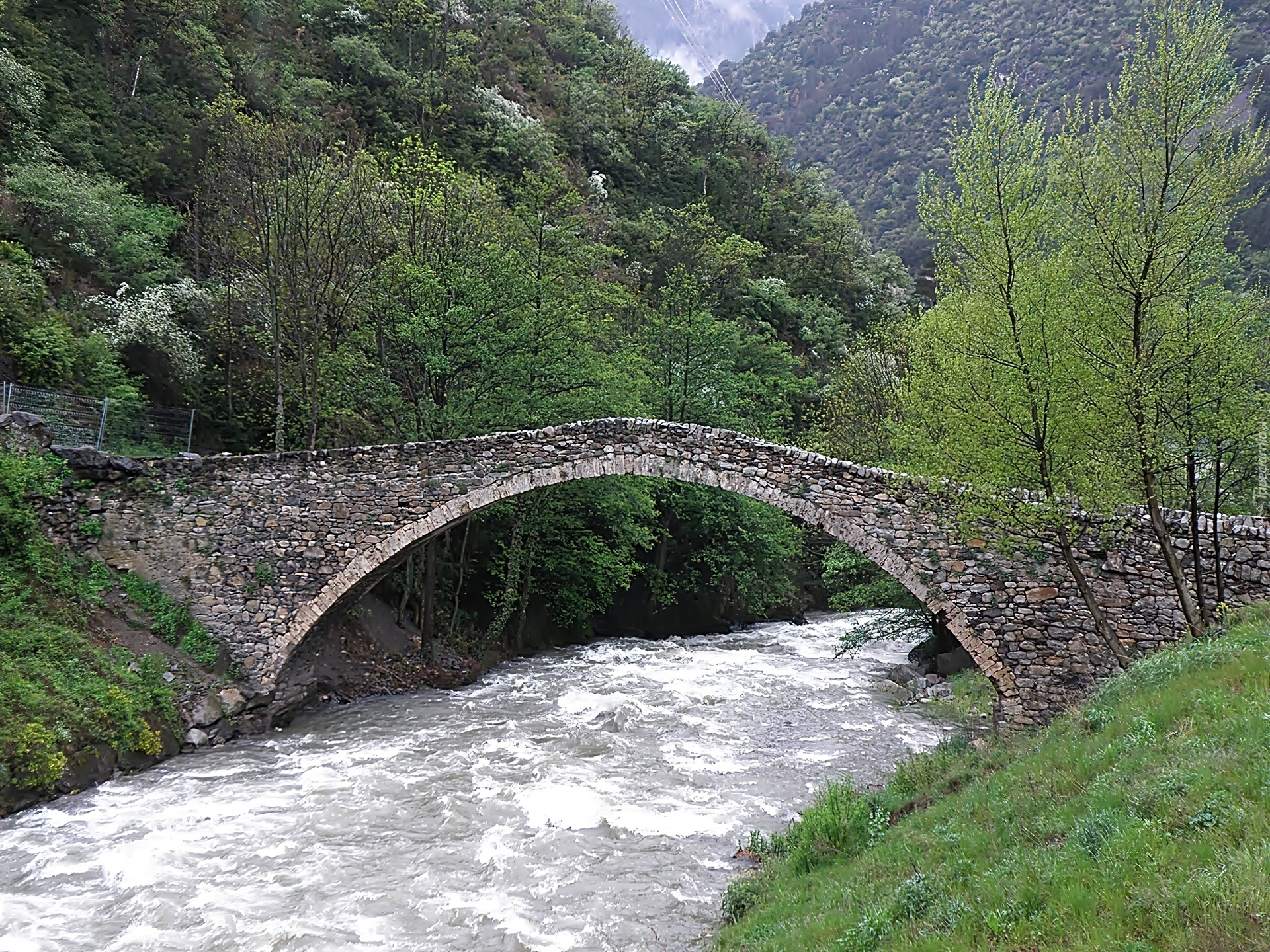 Andora, Pireneje, Las, Rzeka, Valira, Kamienny, Mostek