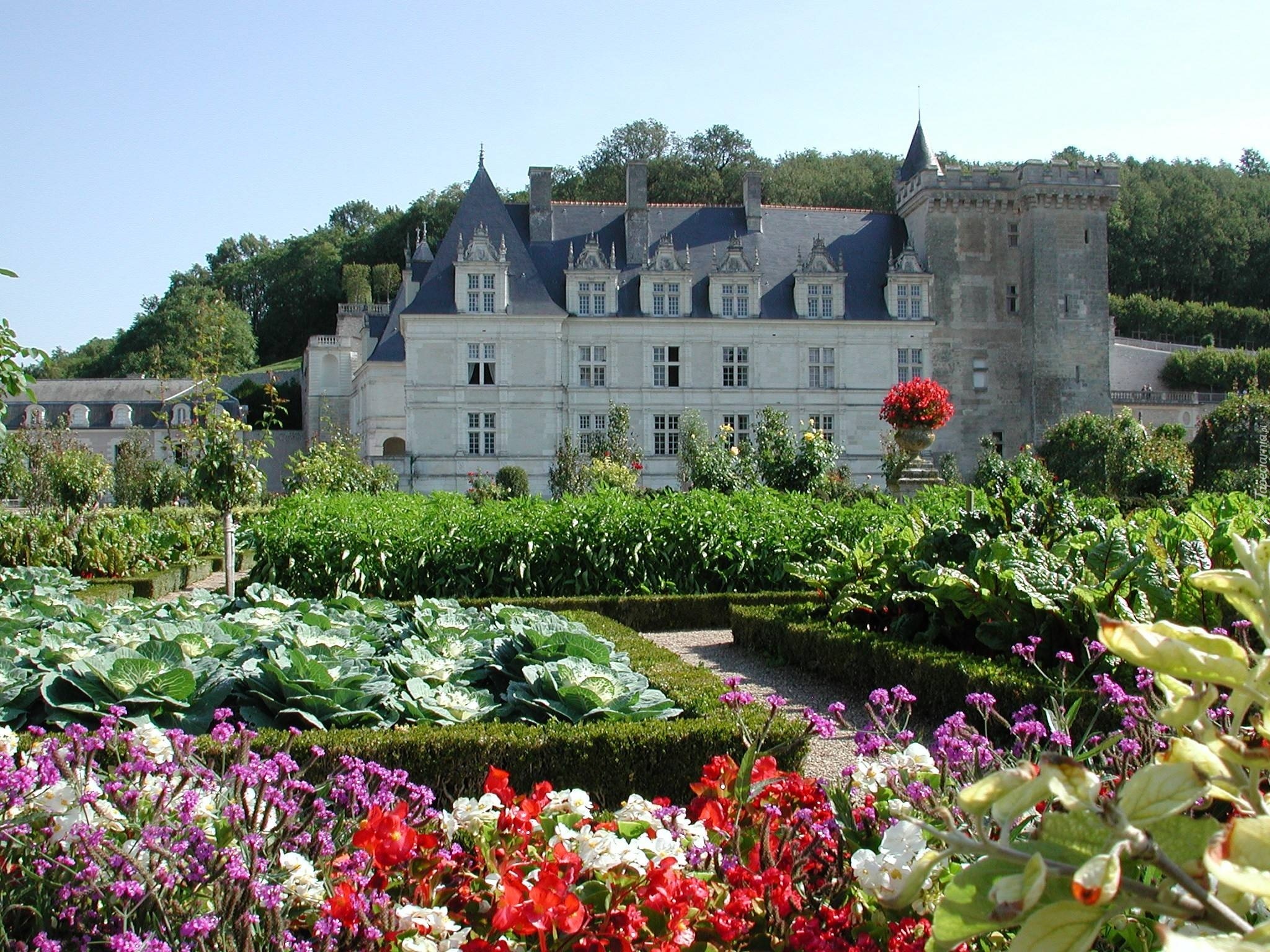 Zamek w Villandry, Château de Villandry, Francja, Villandry, Ogród