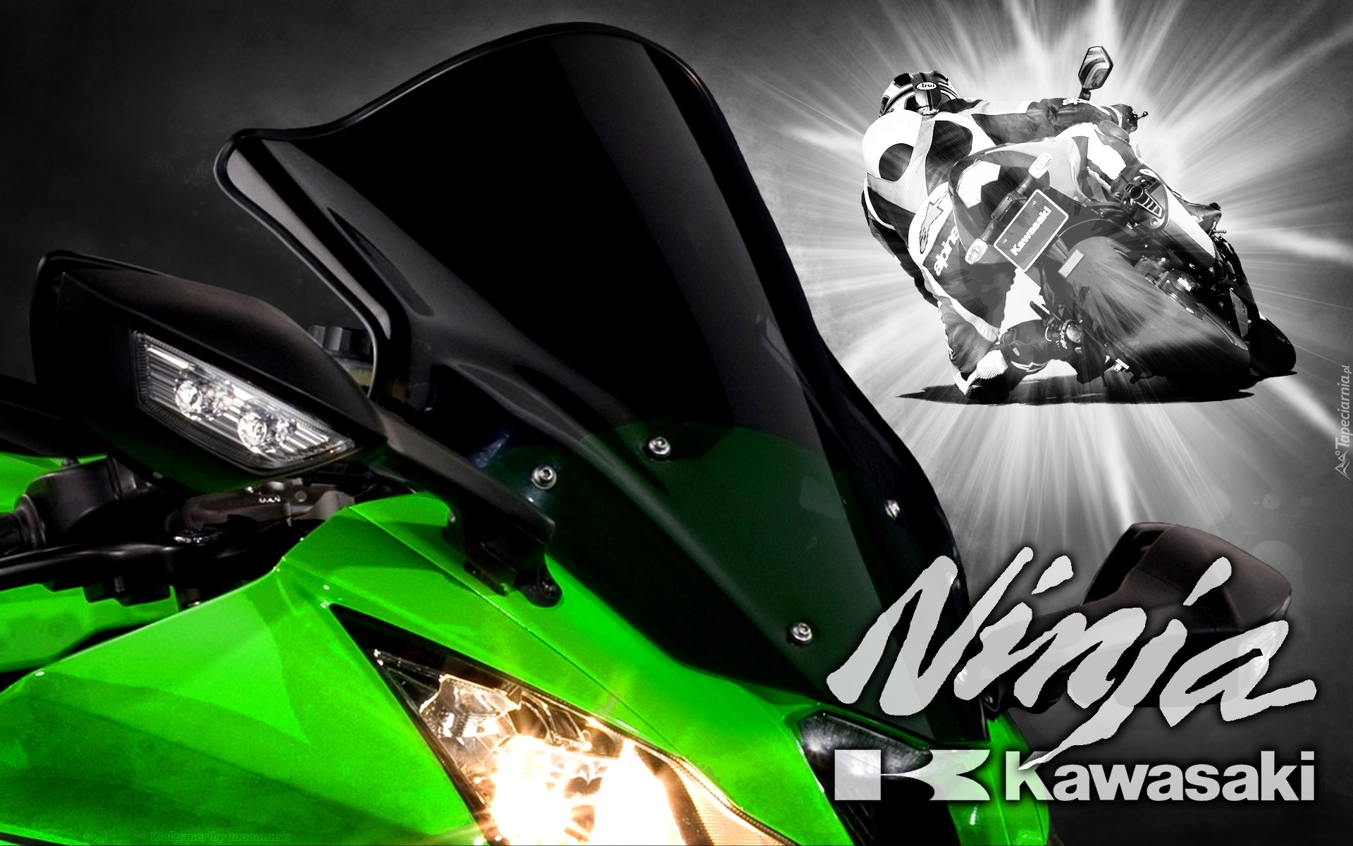 Kawasaki ZX-10R Ninja, Motocykl, Zielony, Ścigacz, Motocyklista