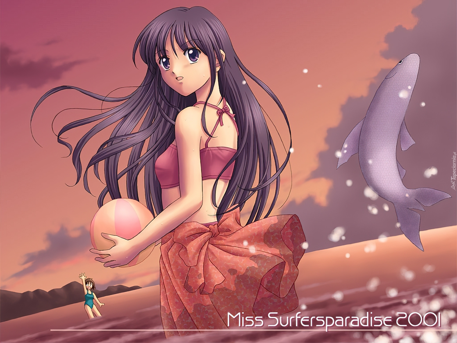Miss Surfersparadise,delfin, piłka