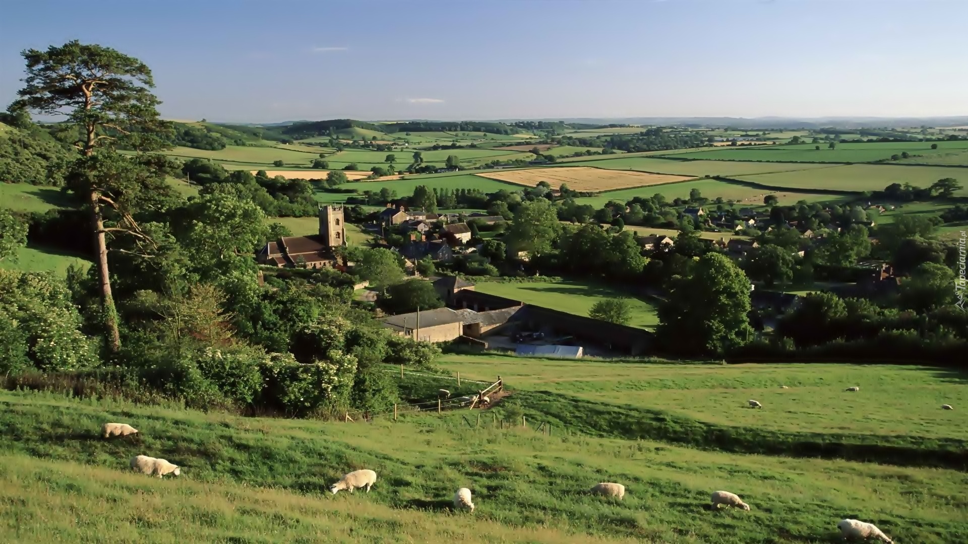 Anglia, Hrabstwo Somerset, Farmy i pola, Wieś