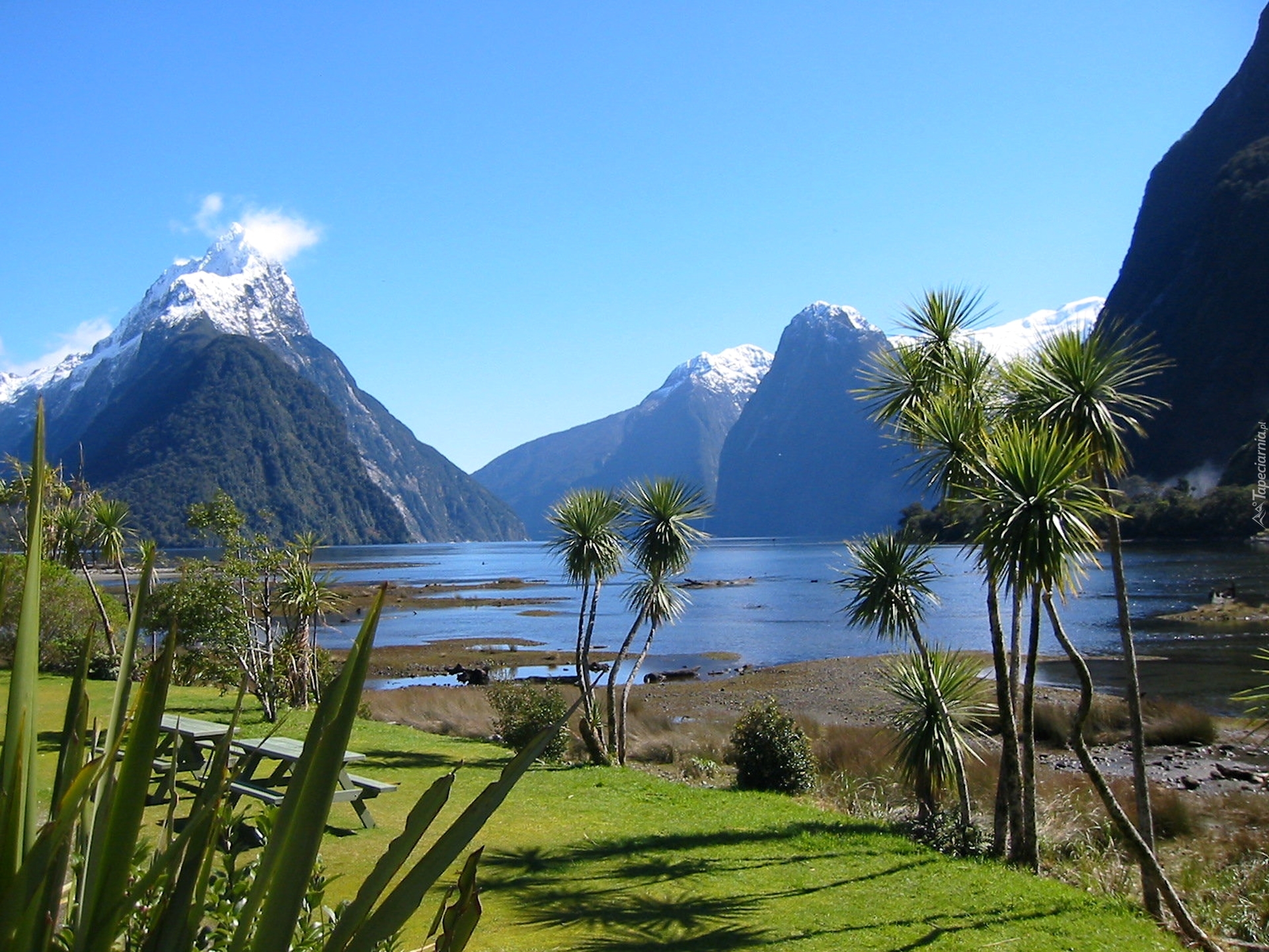 New zealand state