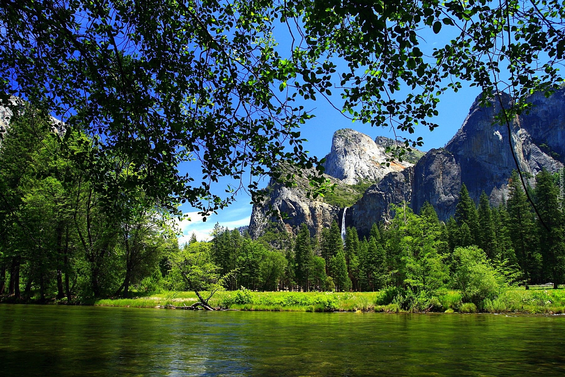 Stany Zjednoczone, Stan Kalifornia, Park Narodowy Yosemite, Góry, Las, Rzeka
