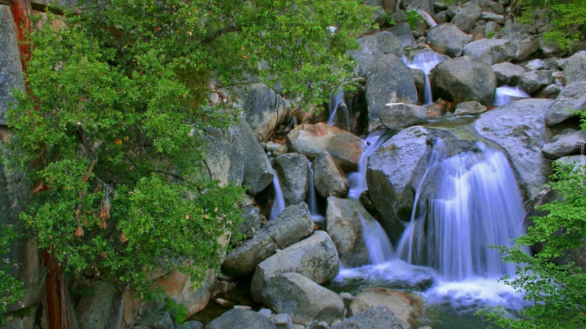Wodospad, Kamienie, Roślinność
