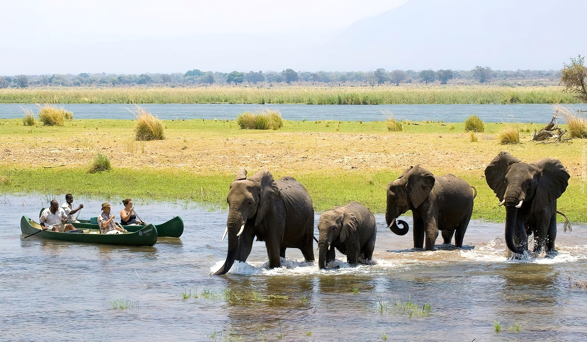 Słonie, Rzeka, Łodzie, Zimbabwe