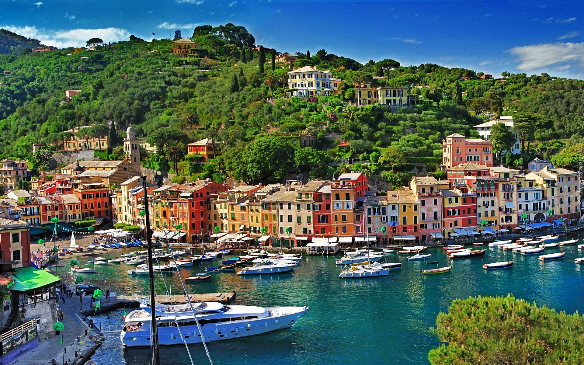 Wzgórza, Domy, Portofino, Włochy